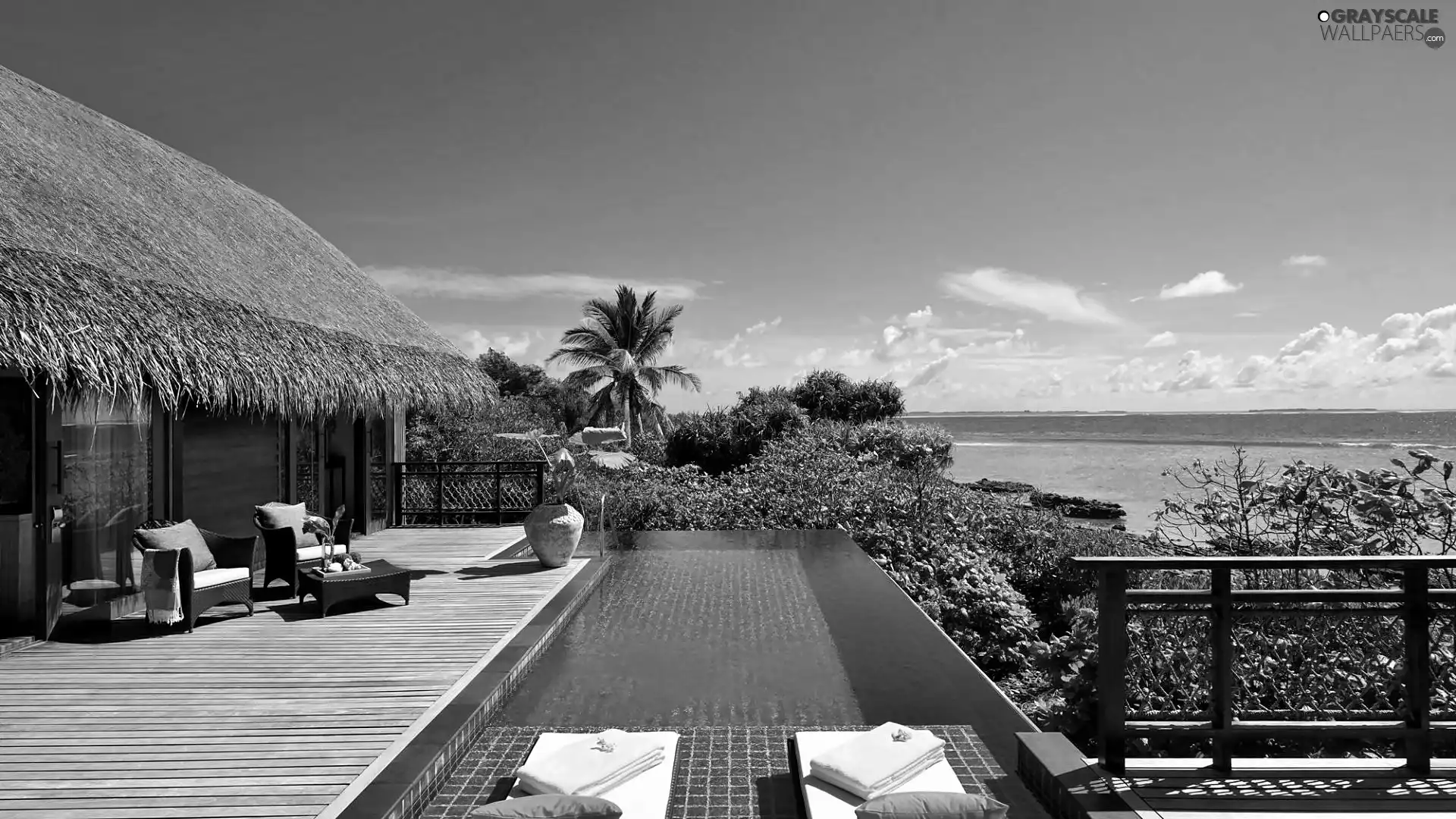 Pool, Tropical, Coast, VEGETATION, sea, Hotel hall