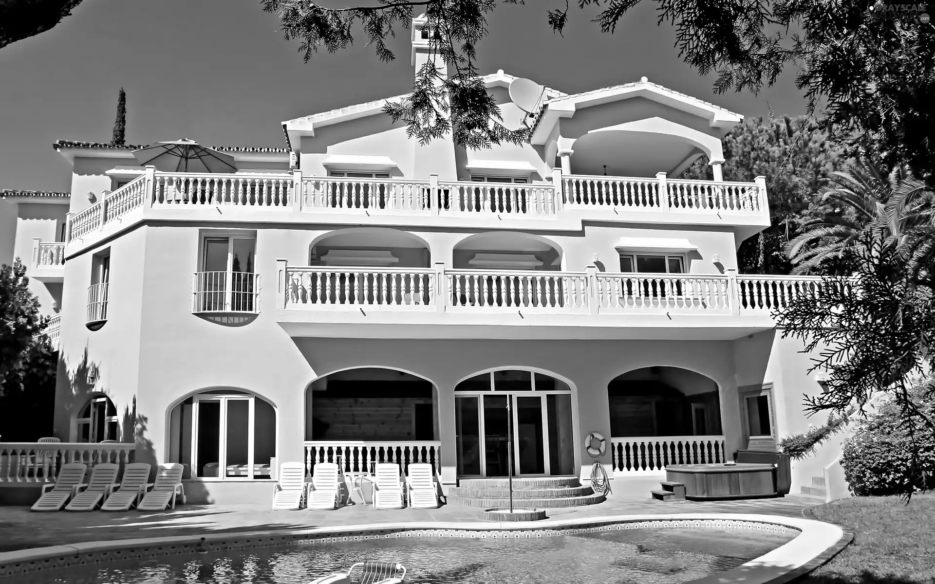 Garden, Hotel hall, Pool