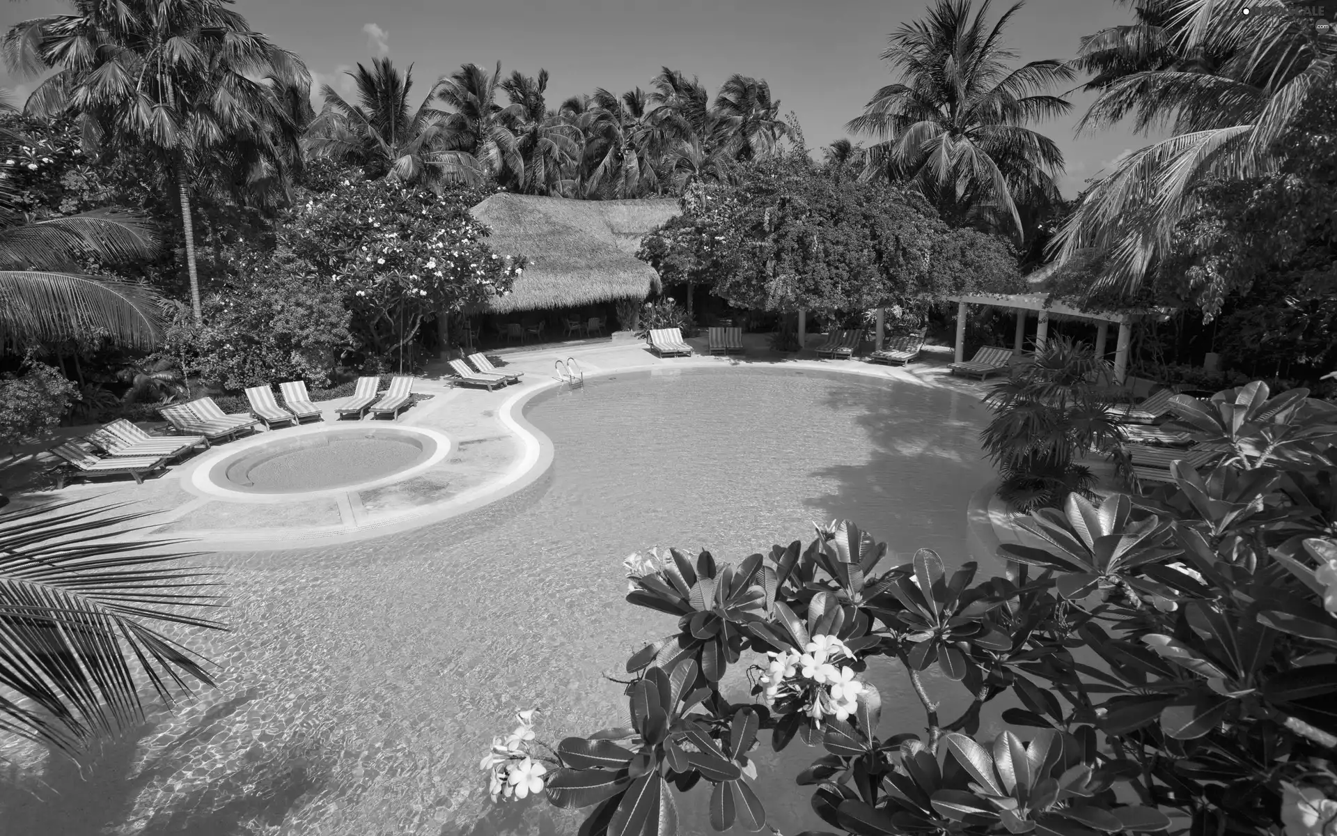 Maldives, Hotel hall, Pool