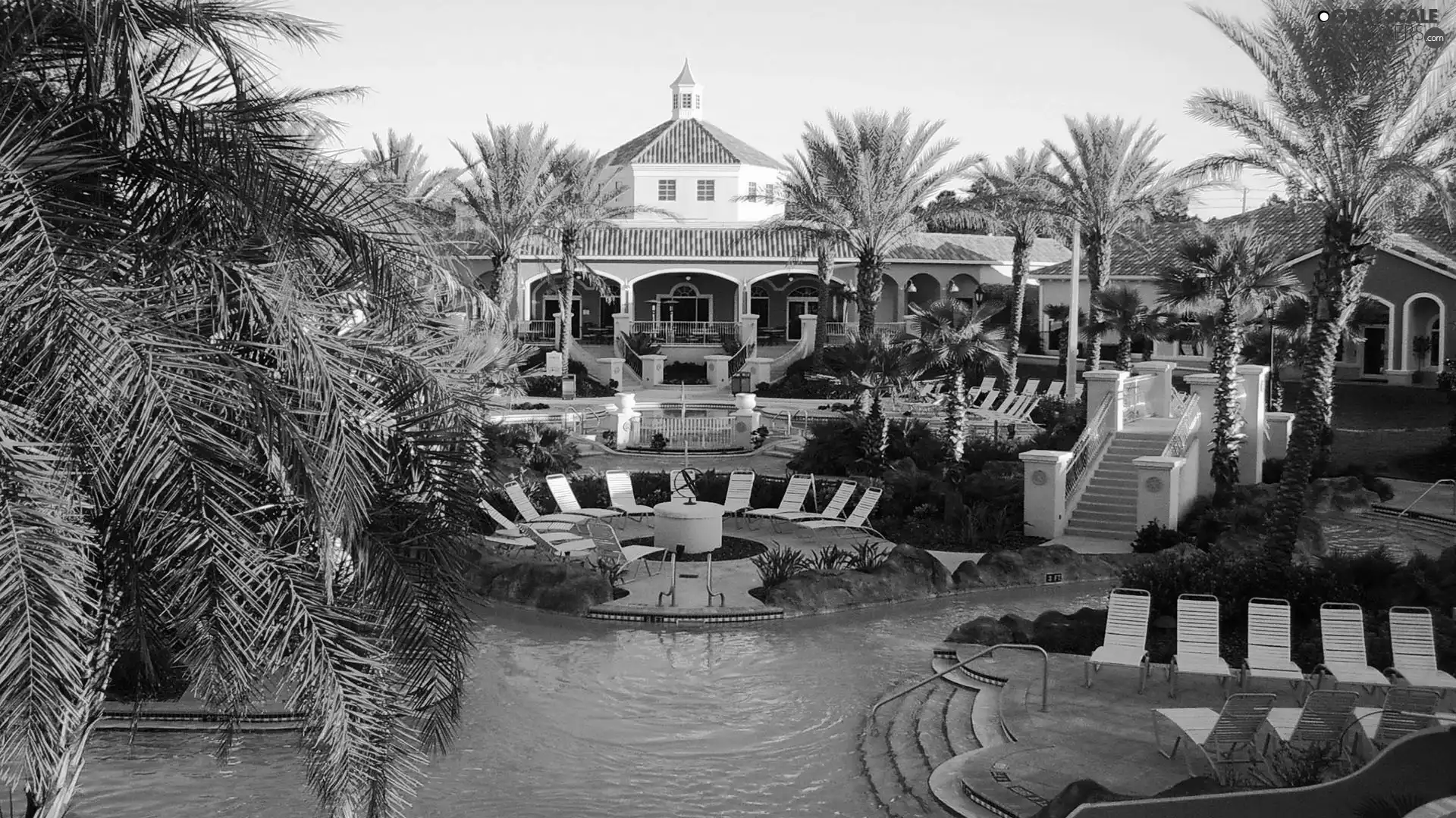 Palms, Hotel hall, Pool