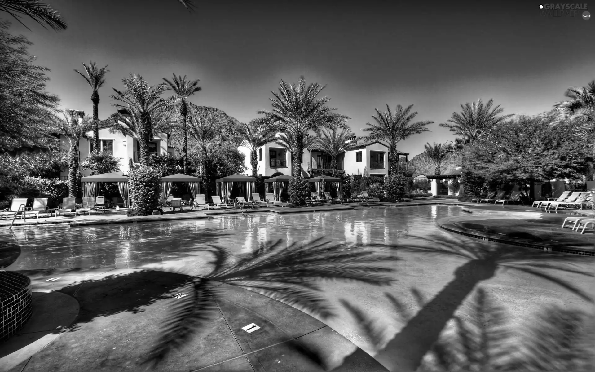 Palms, Hotel hall, Pool