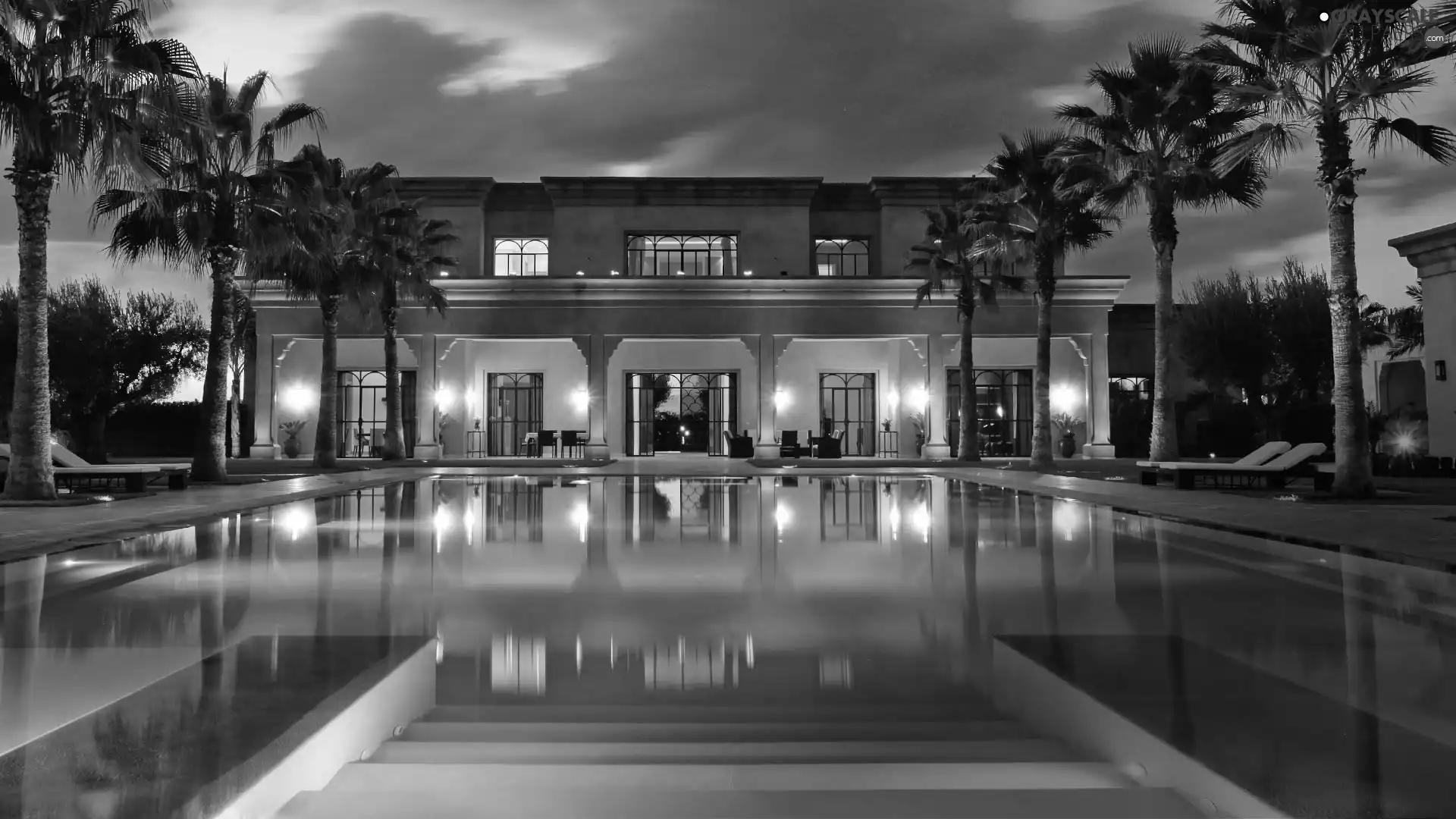 Palms, Hotel hall, Pool