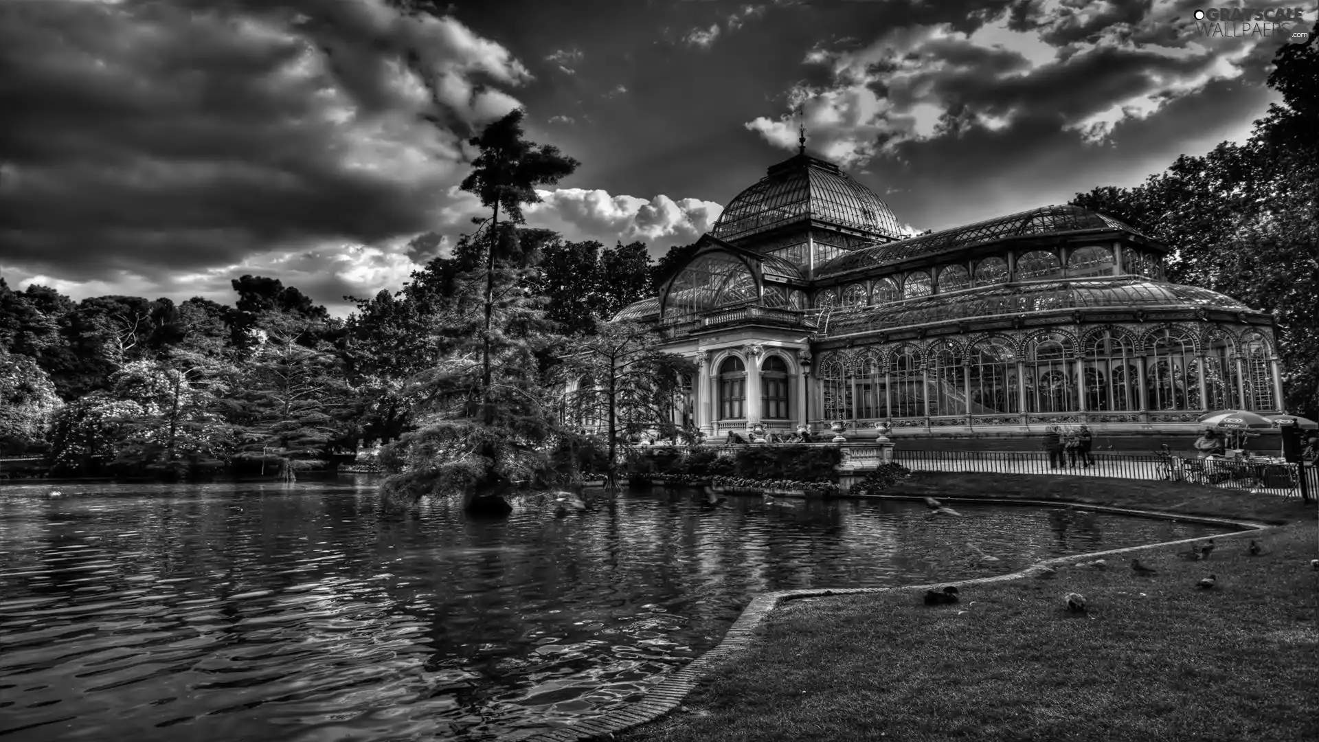 forest, manor-house, Pool