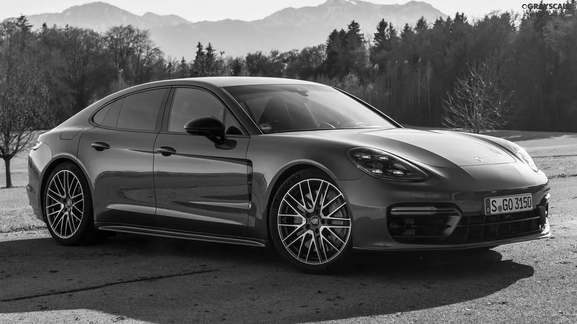 side, green ones, Porsche Panamera S