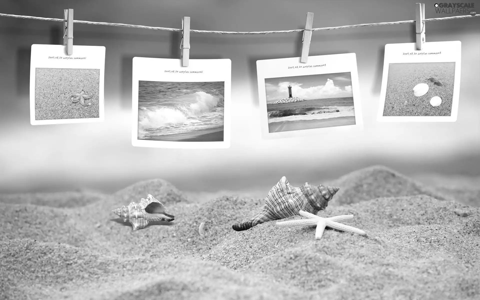Beaches, Sand, postcards, Shells