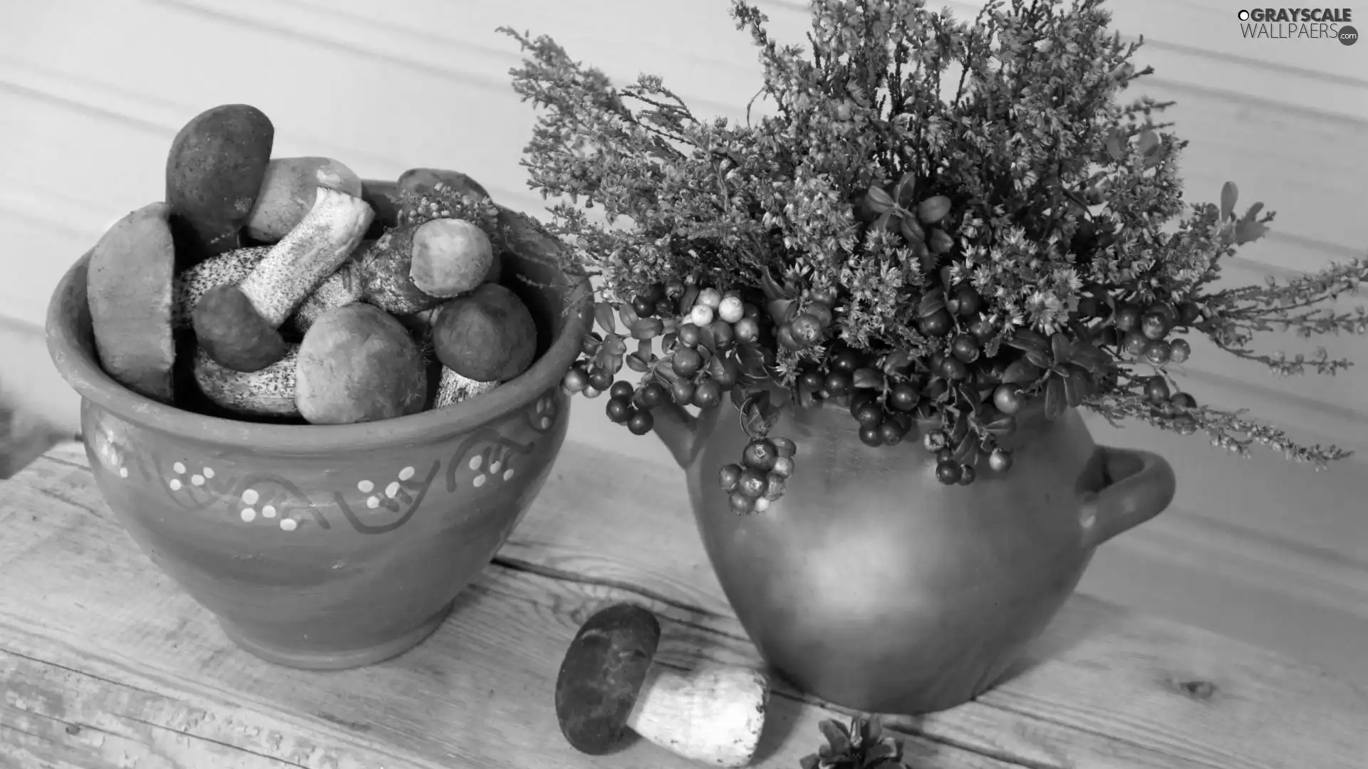 pots, mushrooms, Flowers