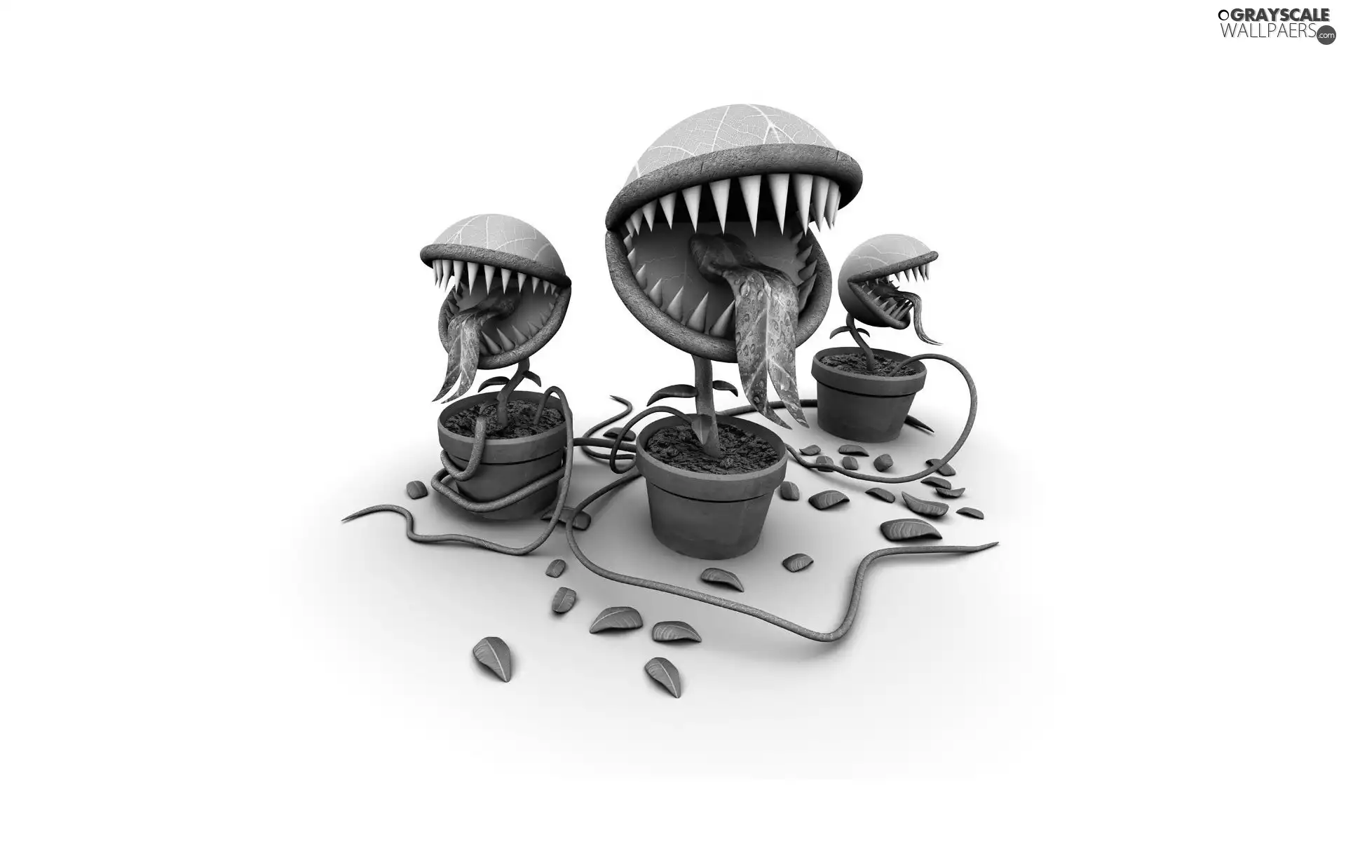 gluttonous, Teeth, Pots, Plants
