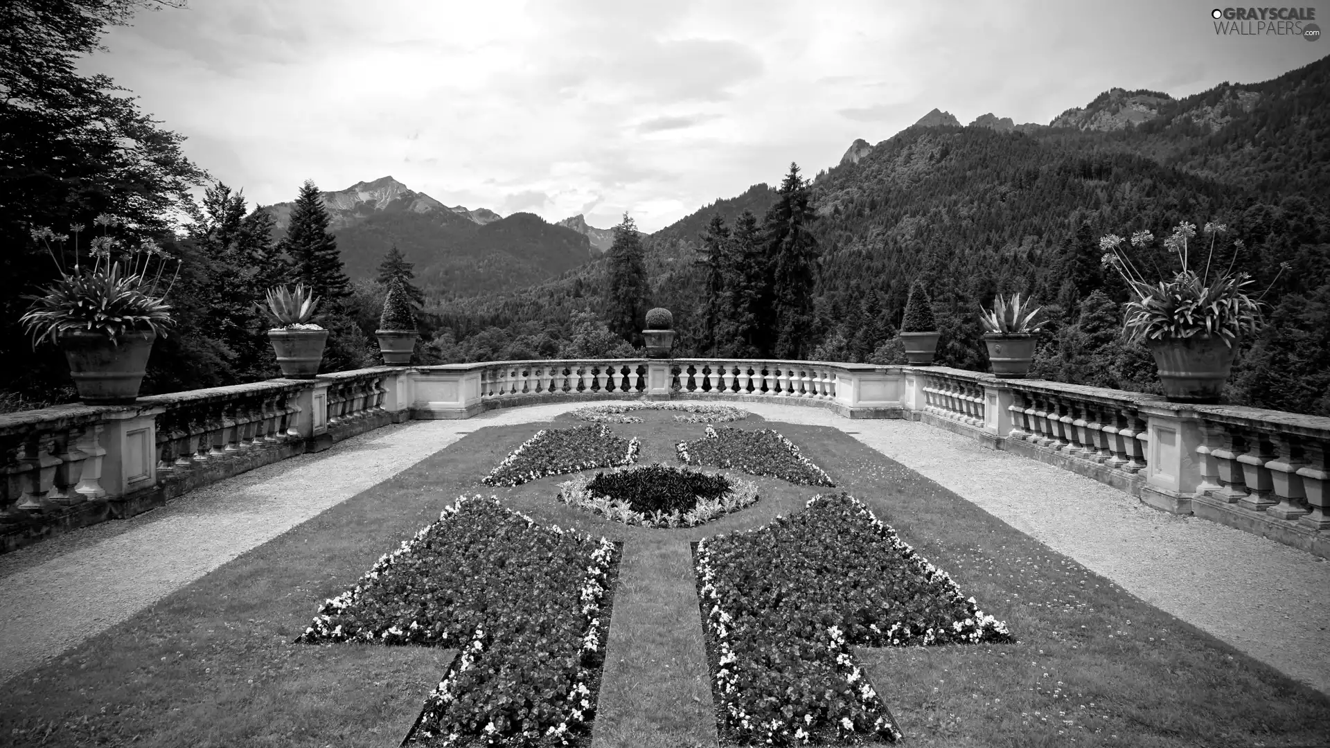 Garden, Flowers, trees, pots, terrace, Mountains, viewes