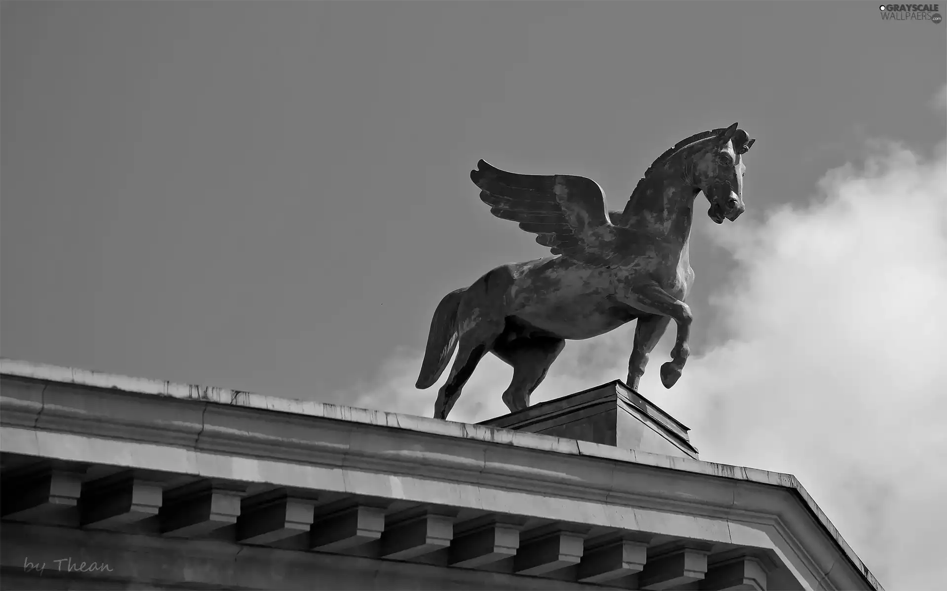 Pegasus, Poznań