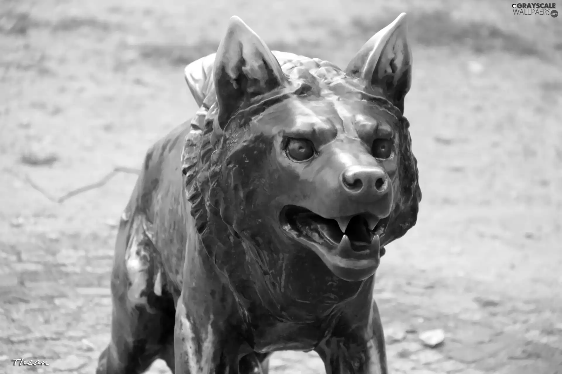 Wolf, old Zoo, Poznań, sculpture