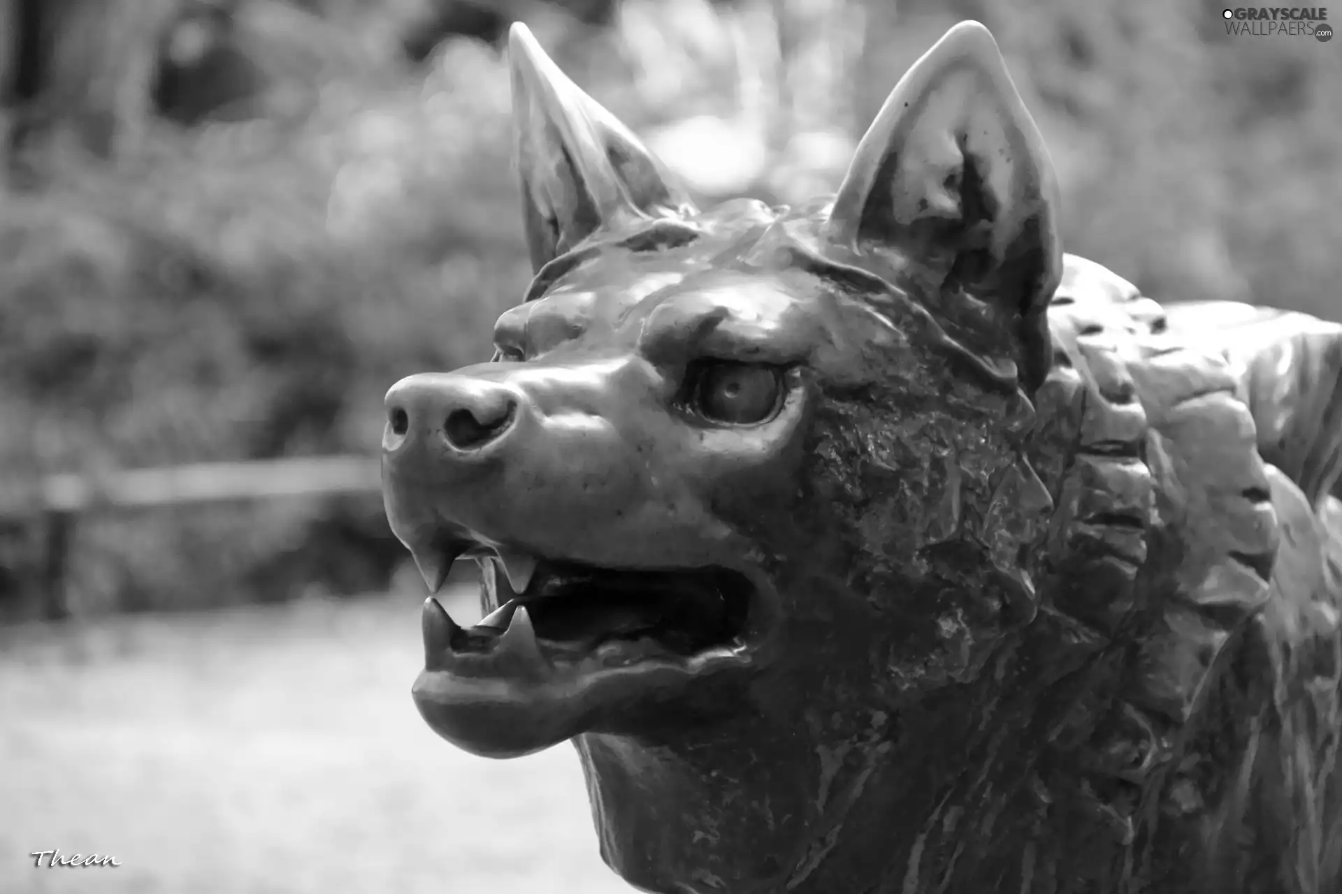 Wolf, old Zoo, Poznań, sculpture