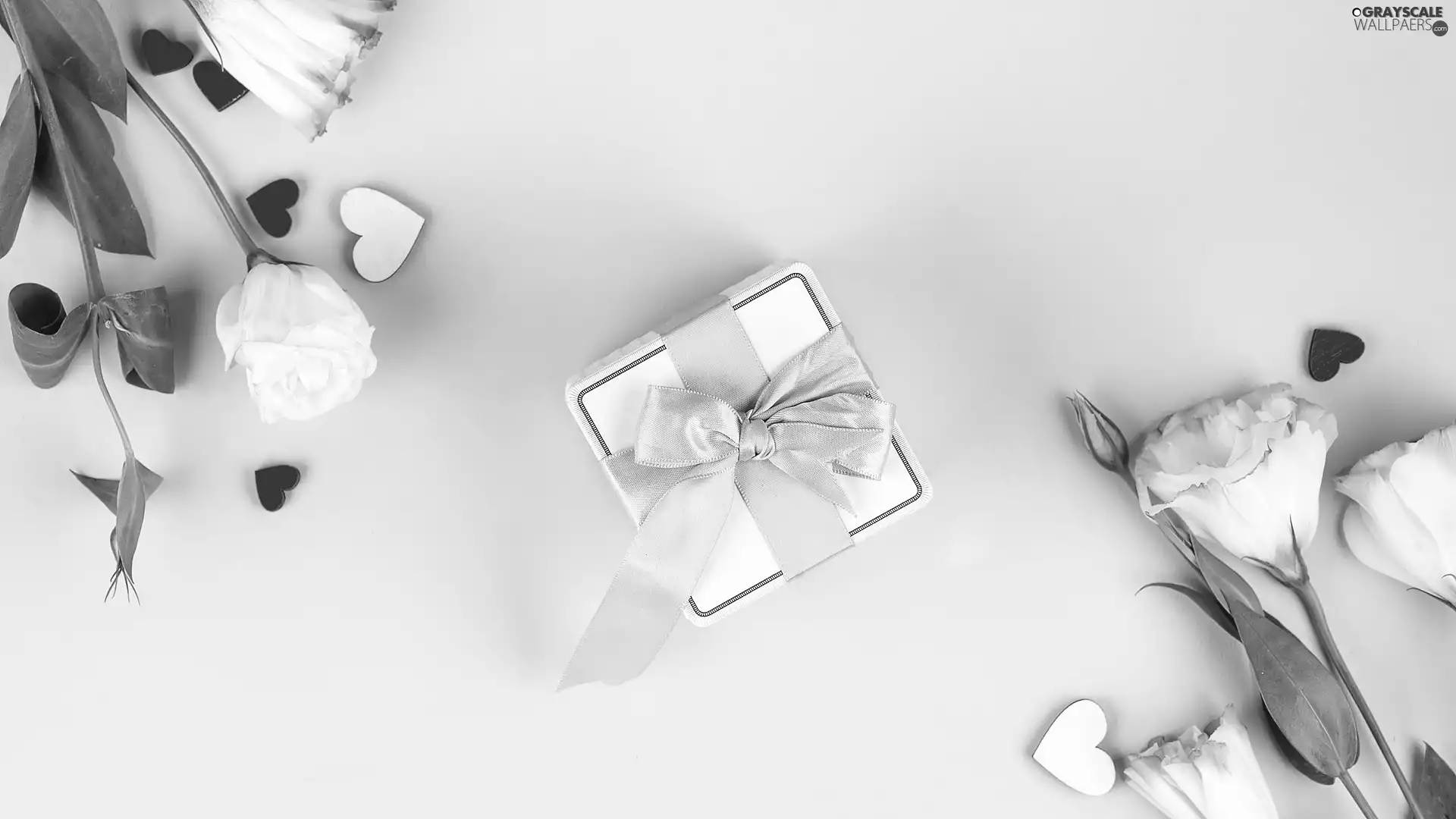 hearts, Present, Eustomy, Buds, Flowers