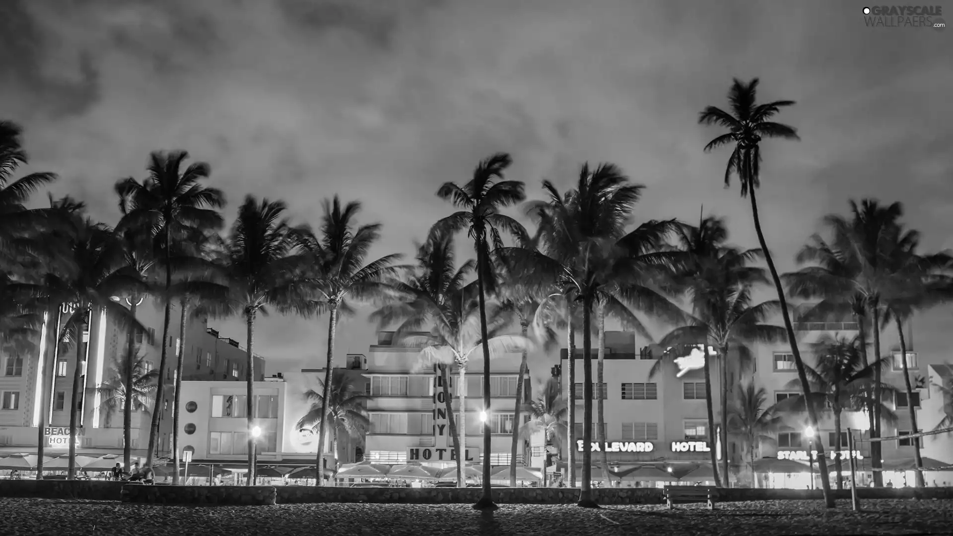 Houses, Palms, promenade, lighting