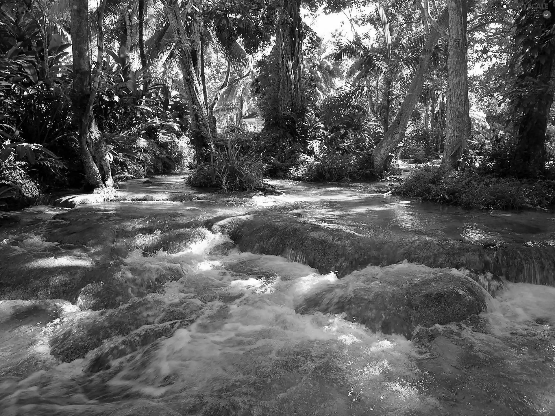 boulders, Przebijające, luminosity, ligh, flash, River, forest, sun