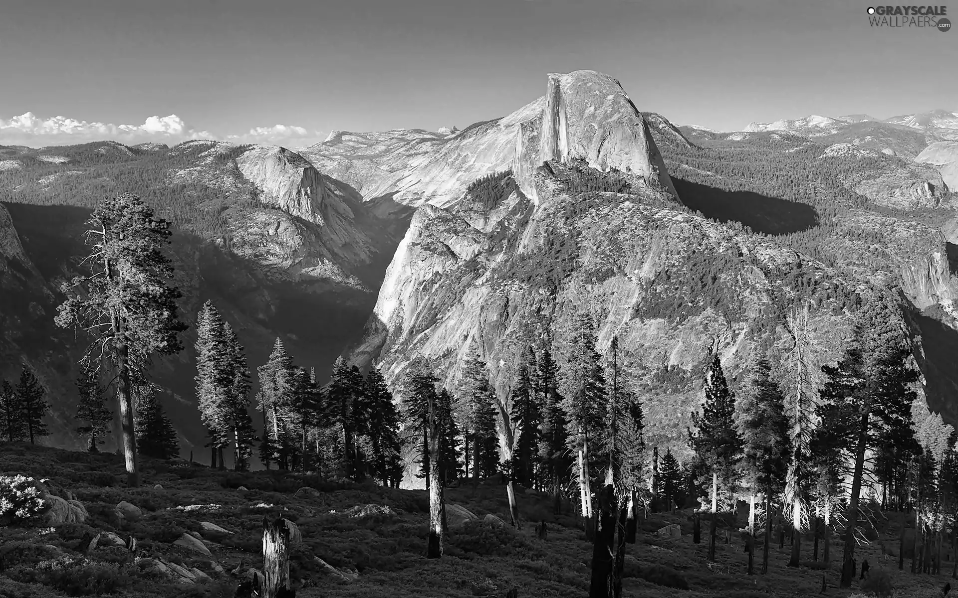 boulders, Przebijające, luminosity, ligh, flash, Spruces, Mountains, sun