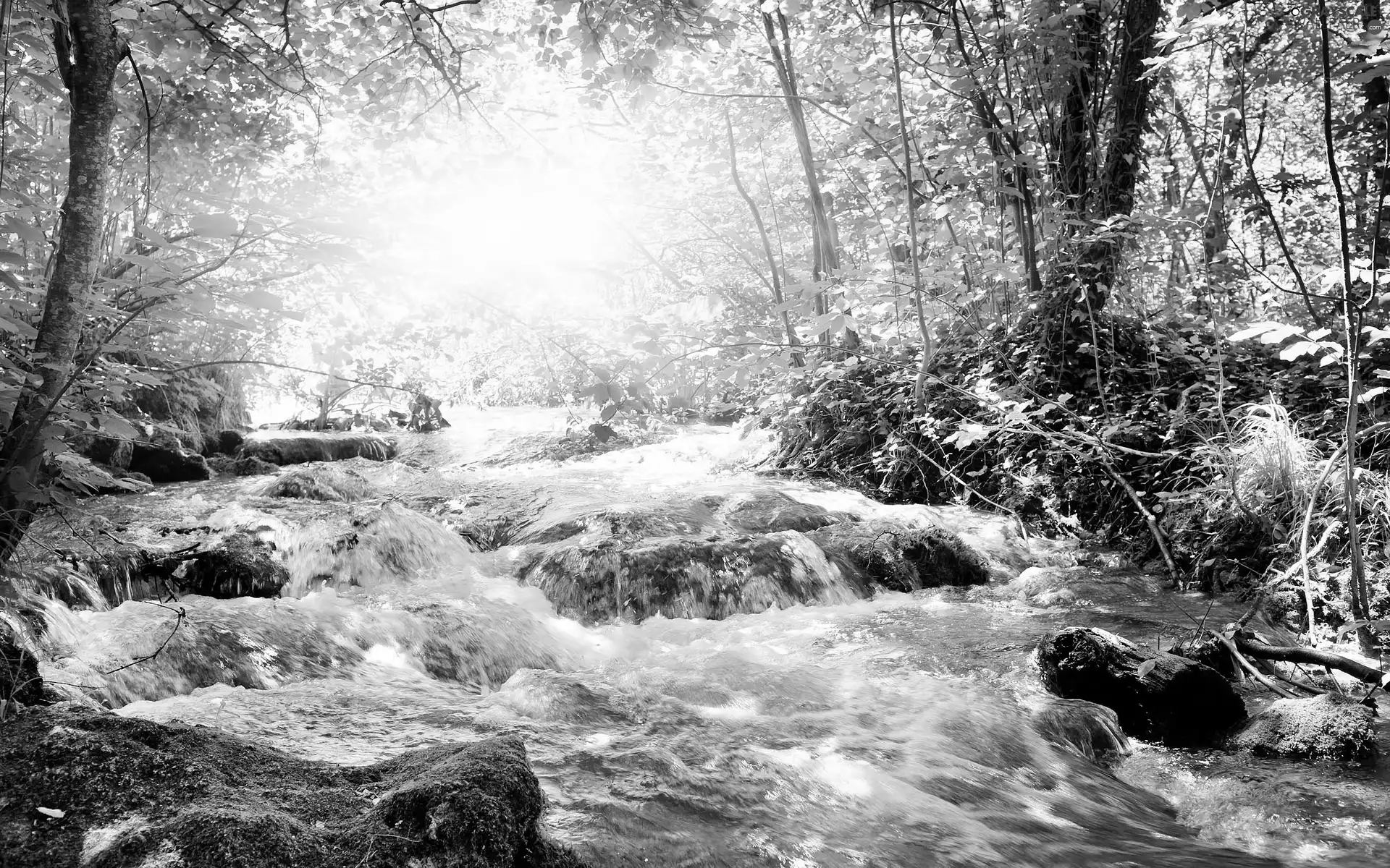 forest, Przebijające, luminosity, ligh, flash, Stones, River, sun
