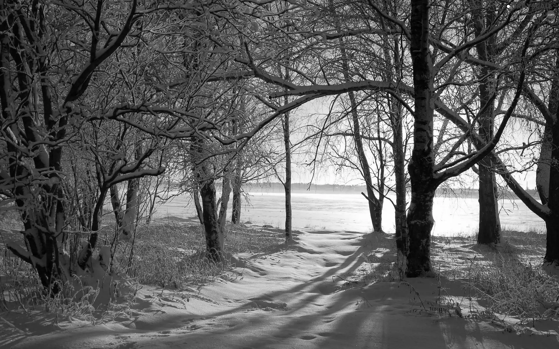 Przebijające, light, viewes, snow, trees