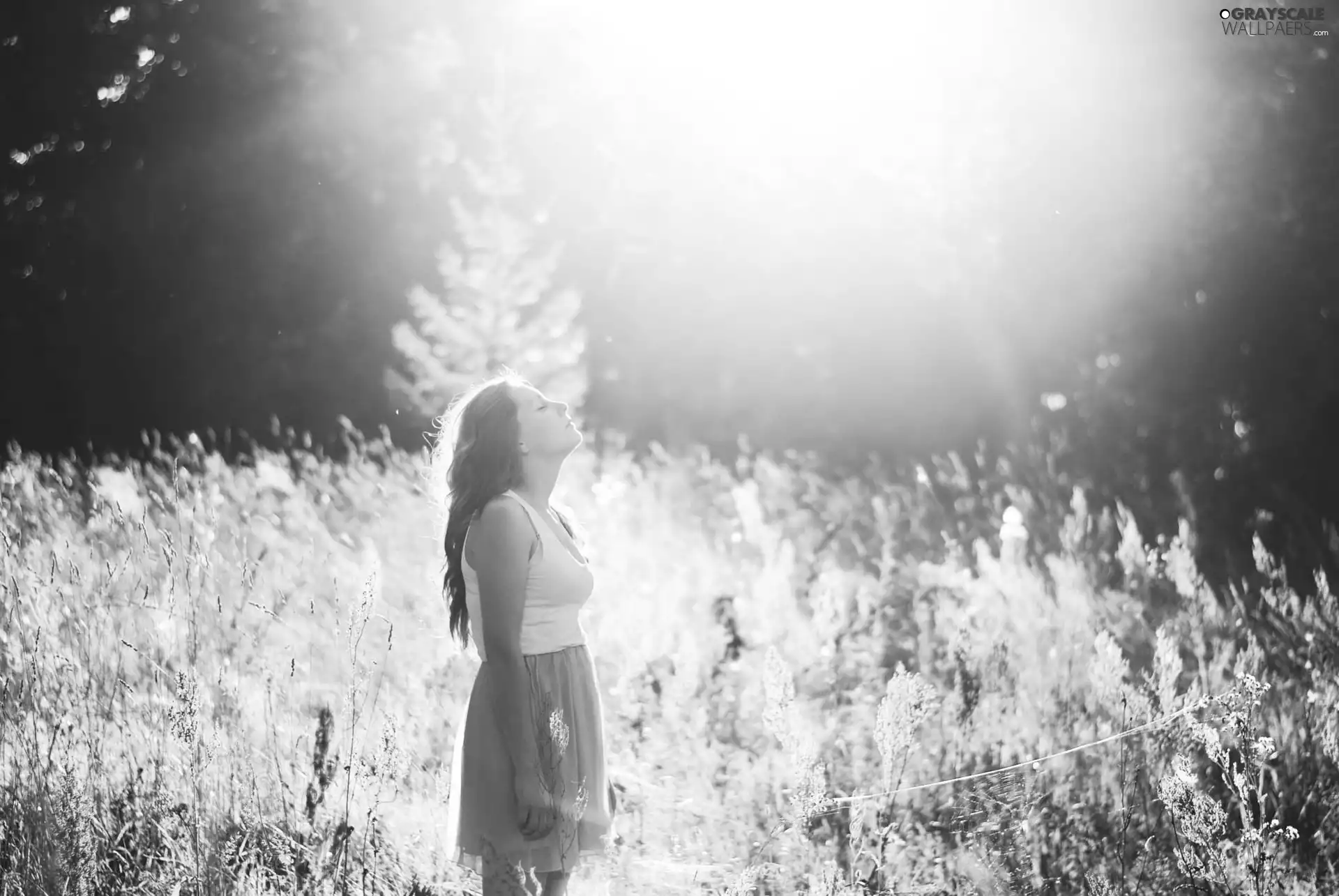 Meadow, Przebijające, luminosity, ligh, flash, brunette, Women, sun