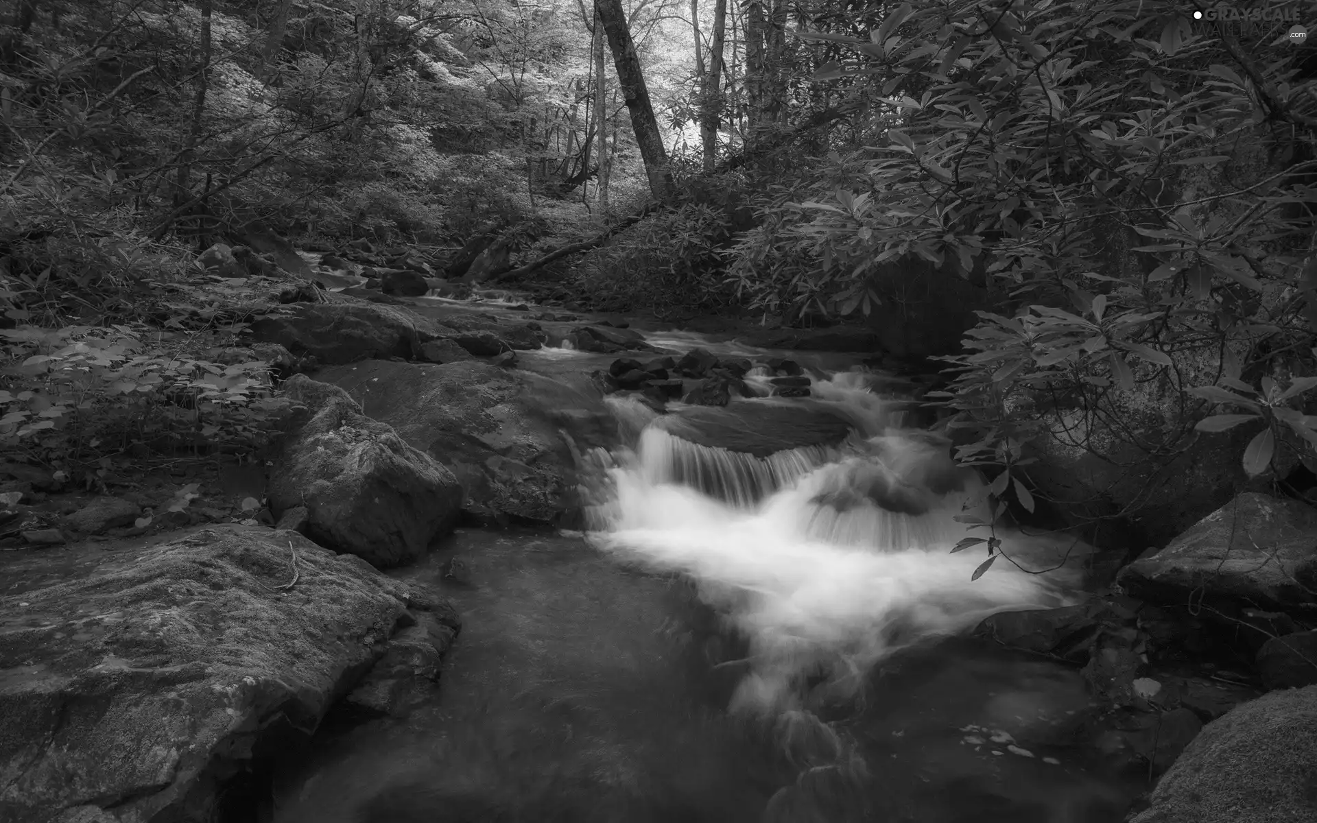 rocks, Przebijające, luminosity, ligh, flash, forest, River, sun