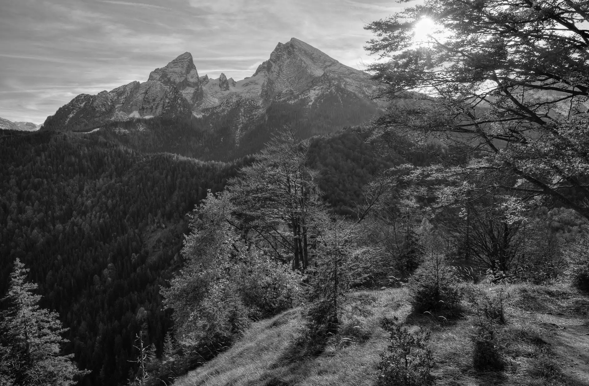 woods, Przebijające, luminosity, ligh, flash, Mountains, autumn, sun