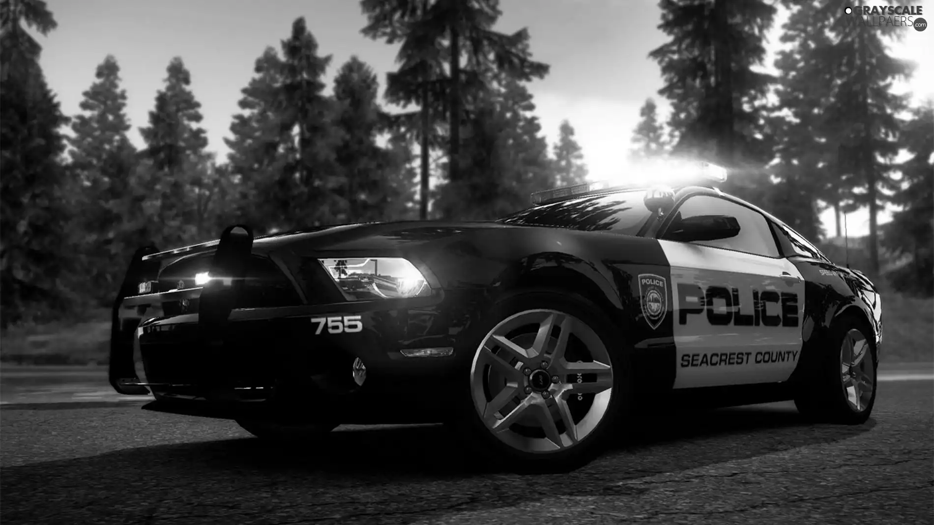 wagon, police, Hot Pursuit, PS3, Need For Speed