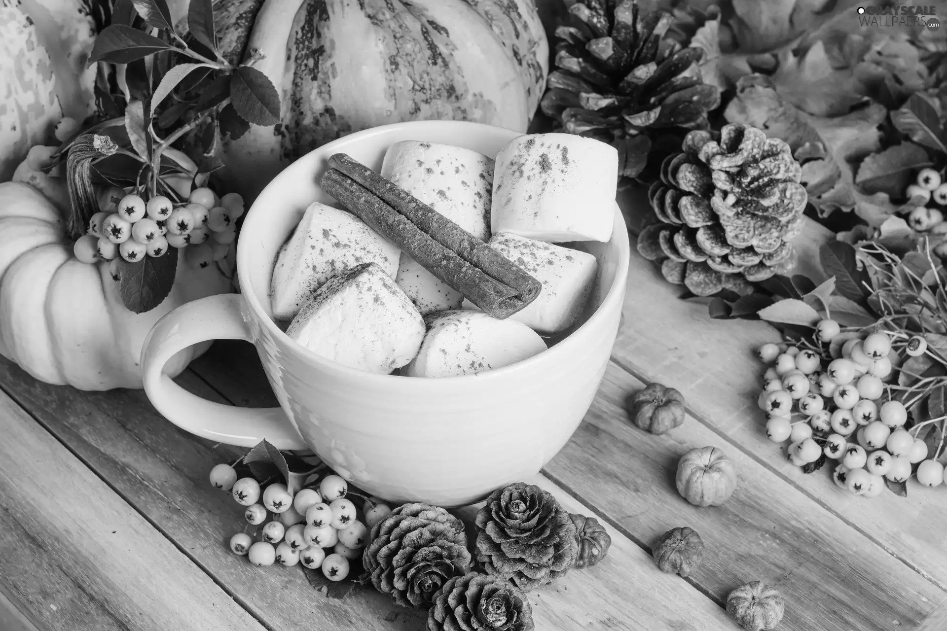 chocolate, Foams, composition, cinnamon, cones, hot, Cup, pumpkin