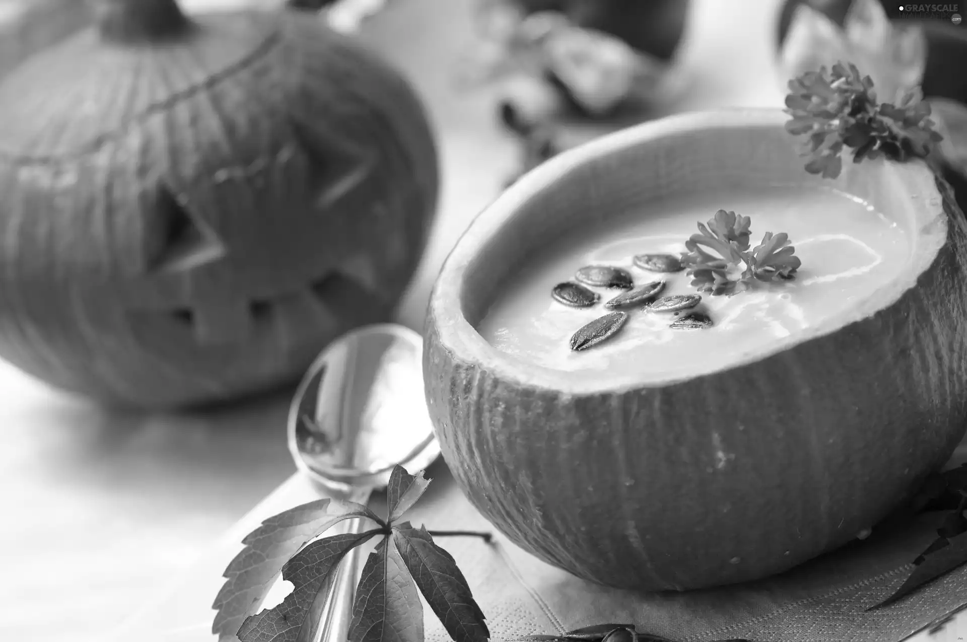 soup, DBZ, pumpkin, cream