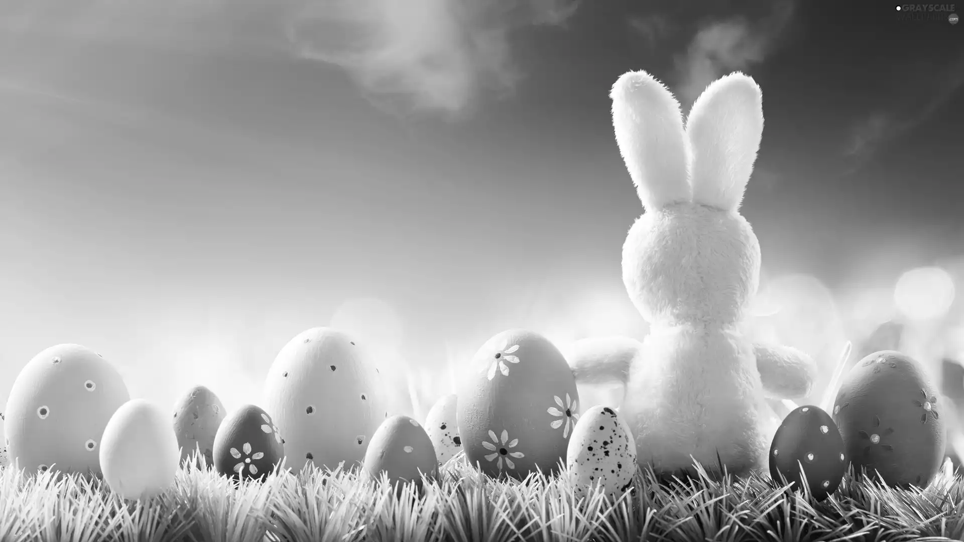 color, White, grass, rabbit, Easter, eggs, Sky