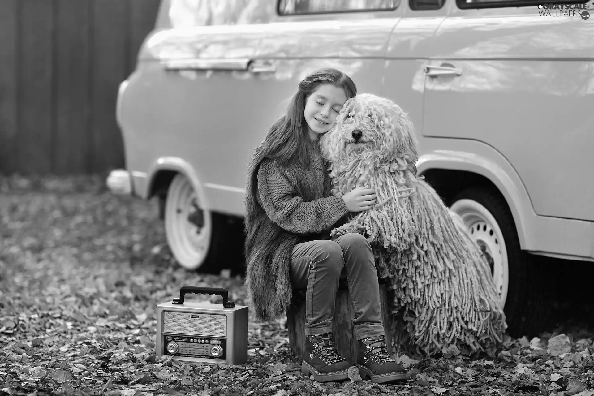 dog, redhead, hugging, radio, Puli, girl