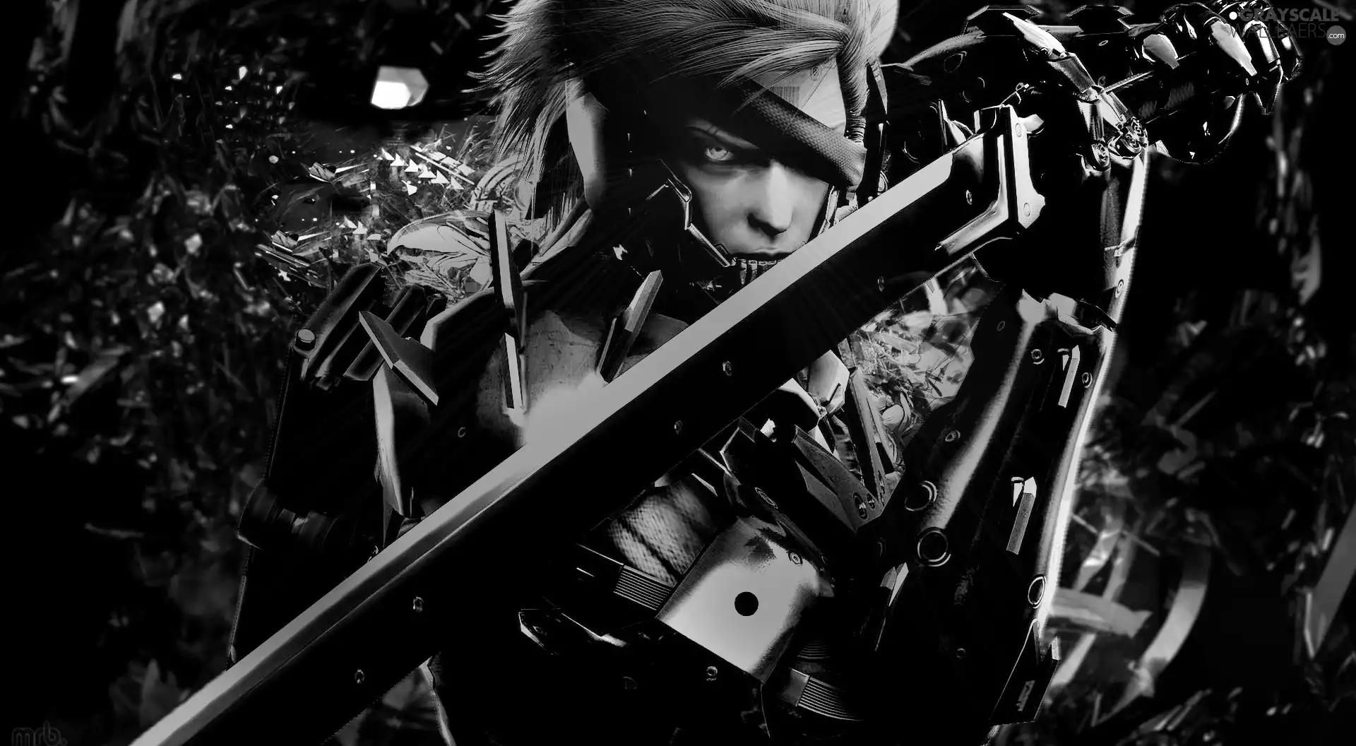 metal gear rising revengeance, Raiden