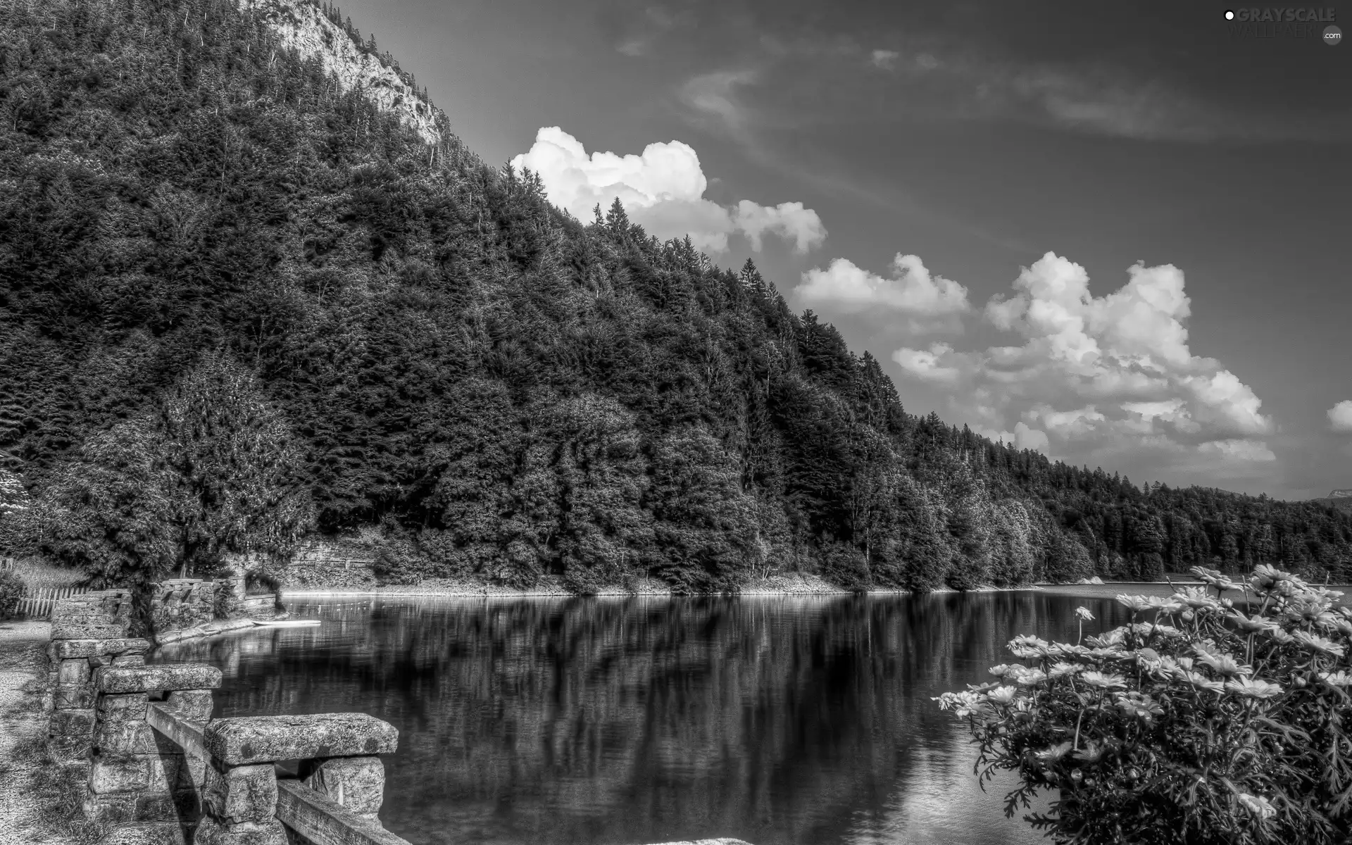 viewes, lake, railing, Flowers, stone, trees