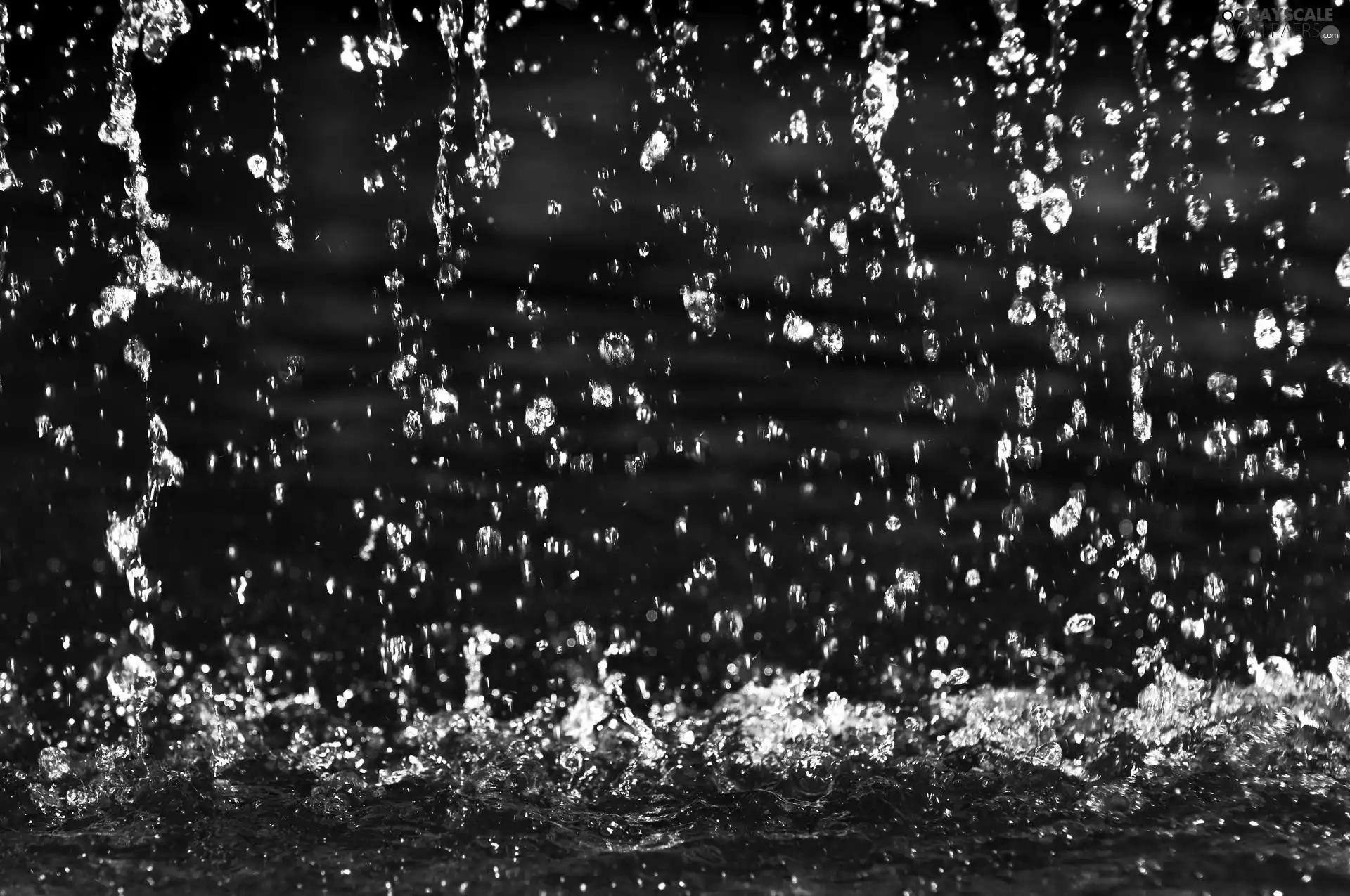Rain