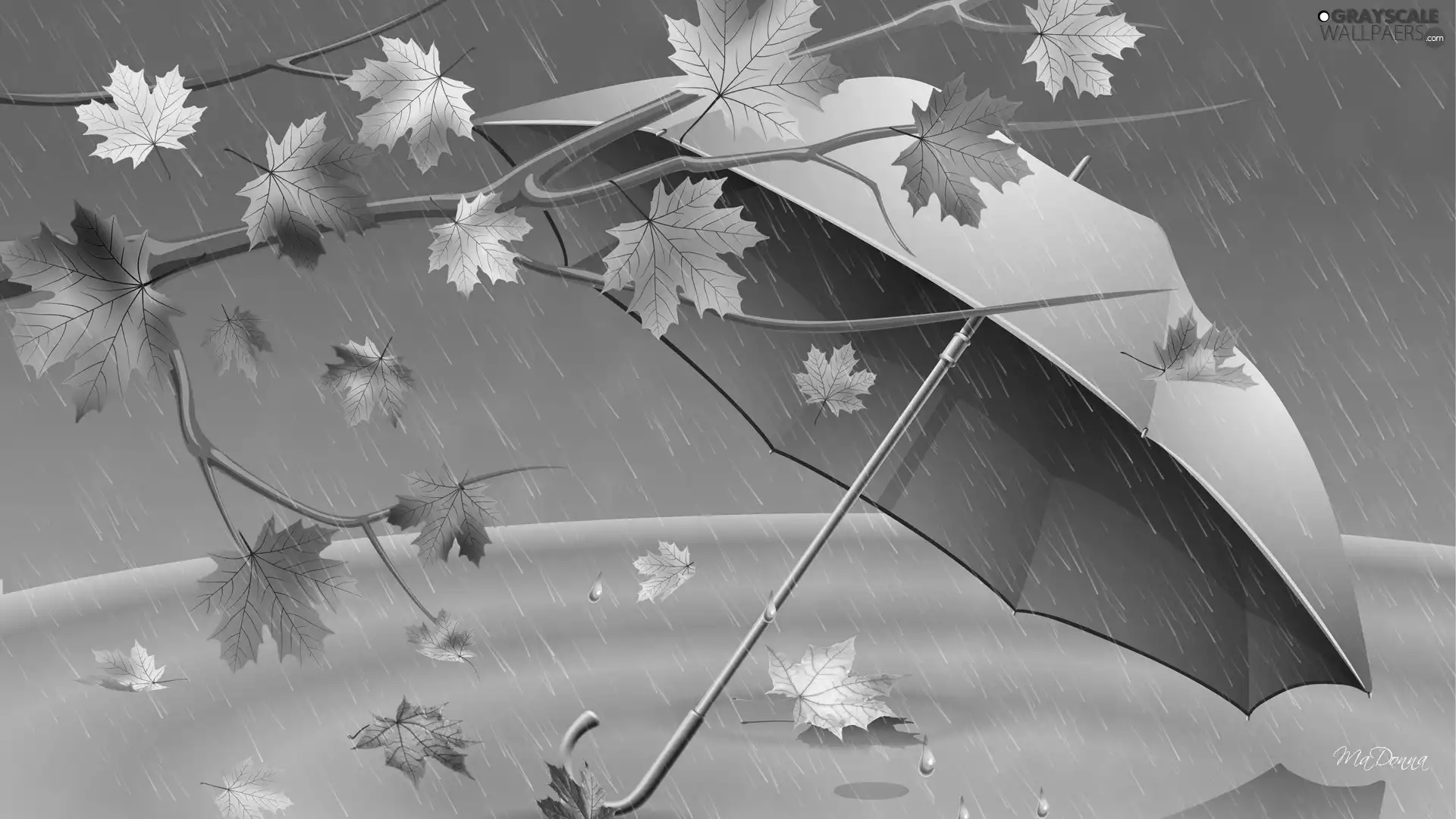 Autumn, Umbrella, Rain, Leaf