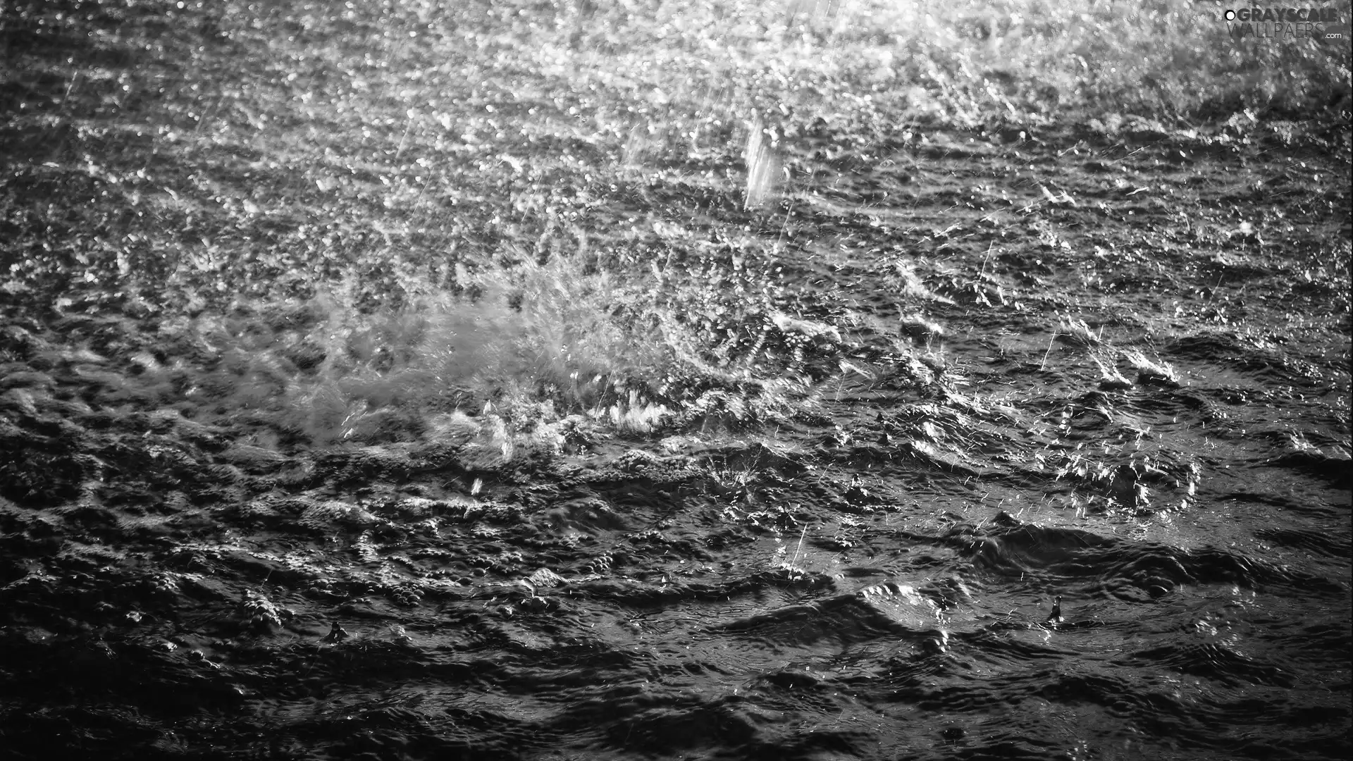 water, Rain