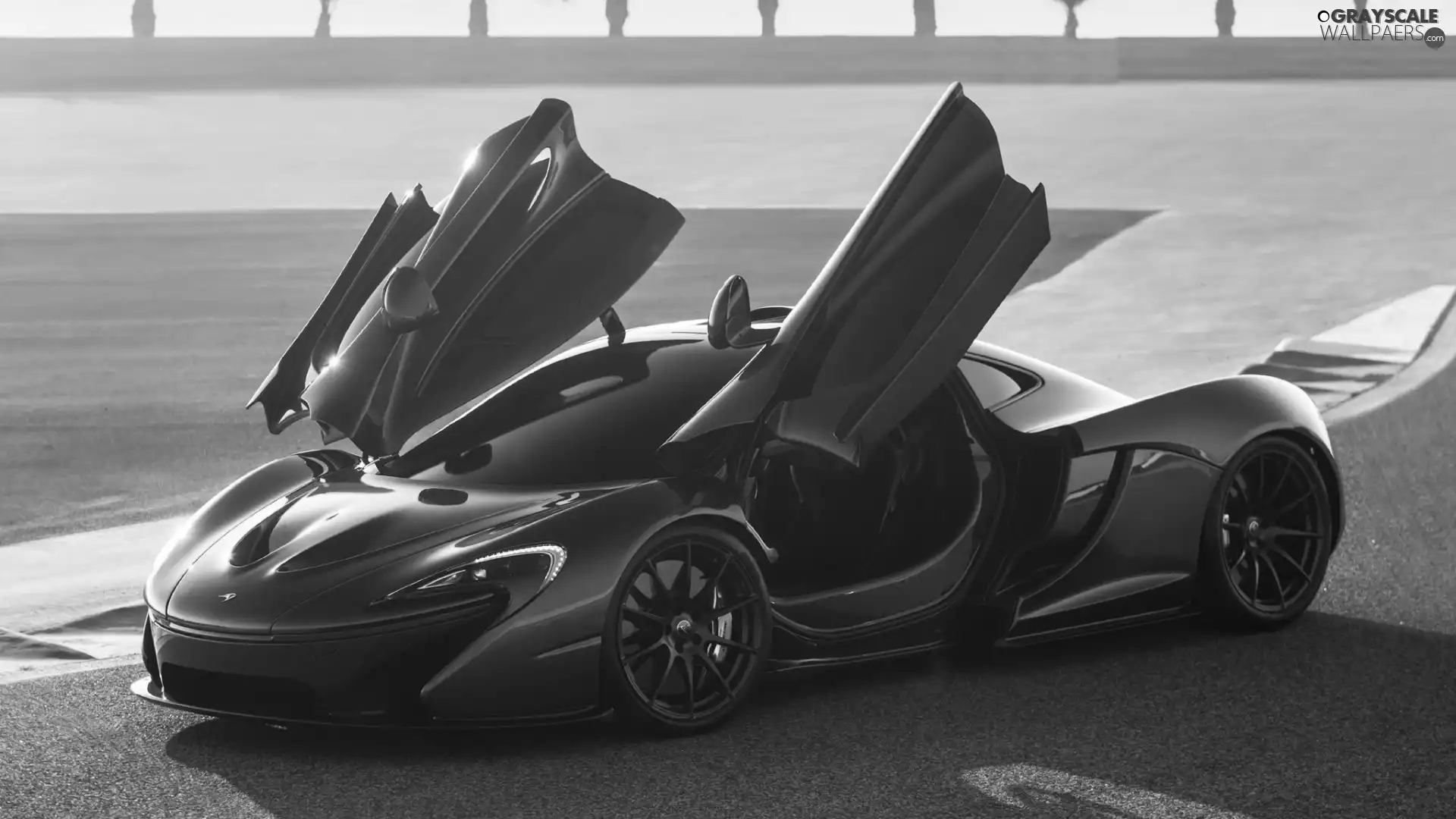 Doors, McLaren P1, raised