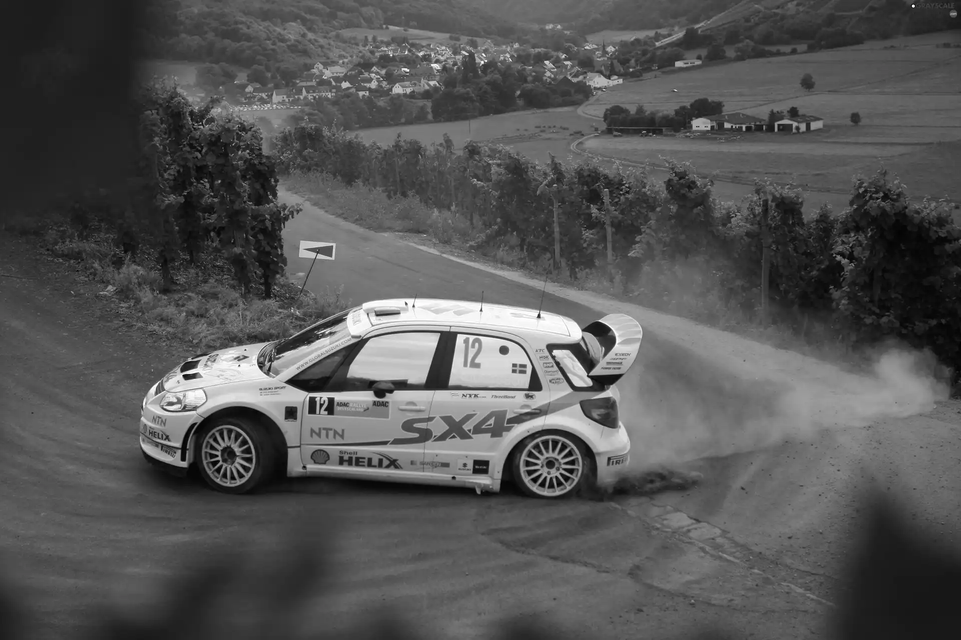 return, Suzuki SX4, rally