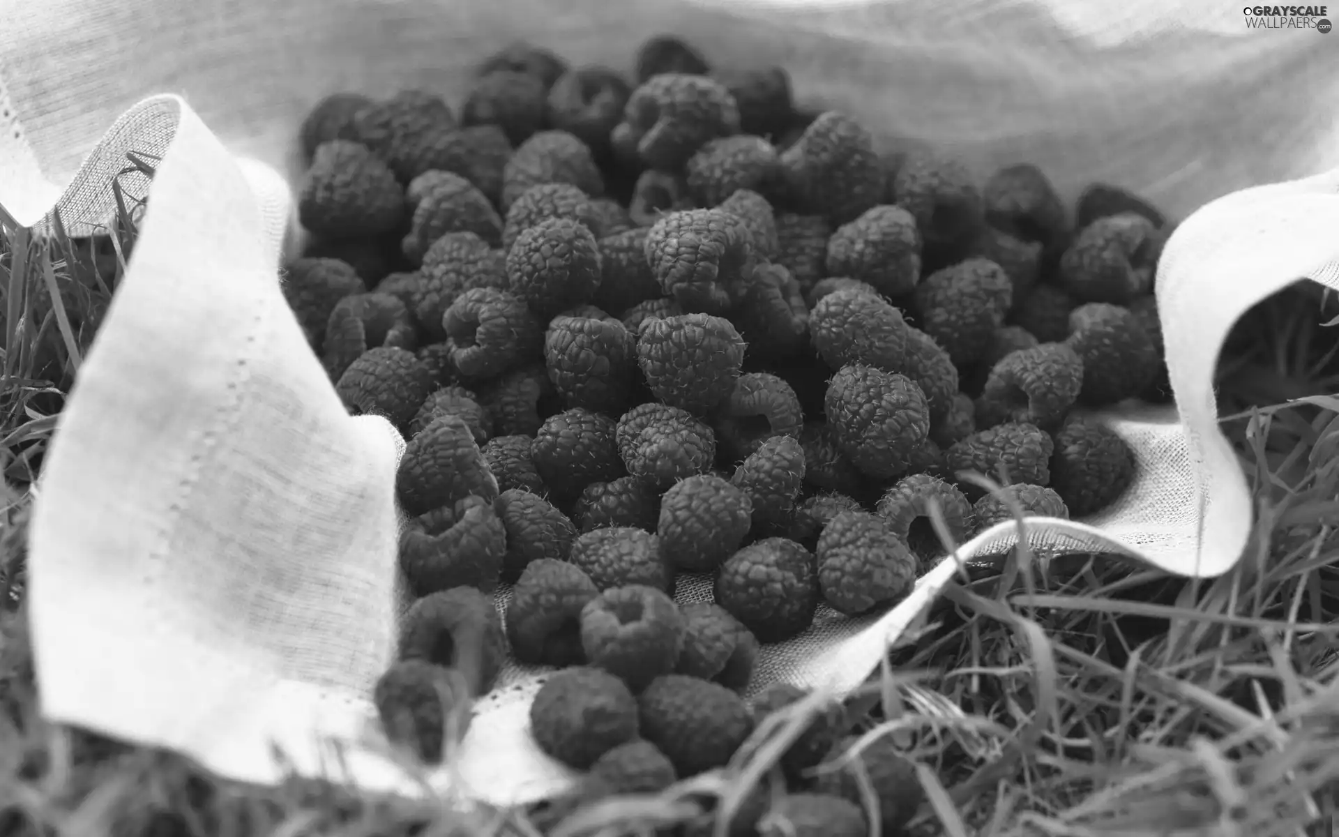 Raspberries, grass, napkin