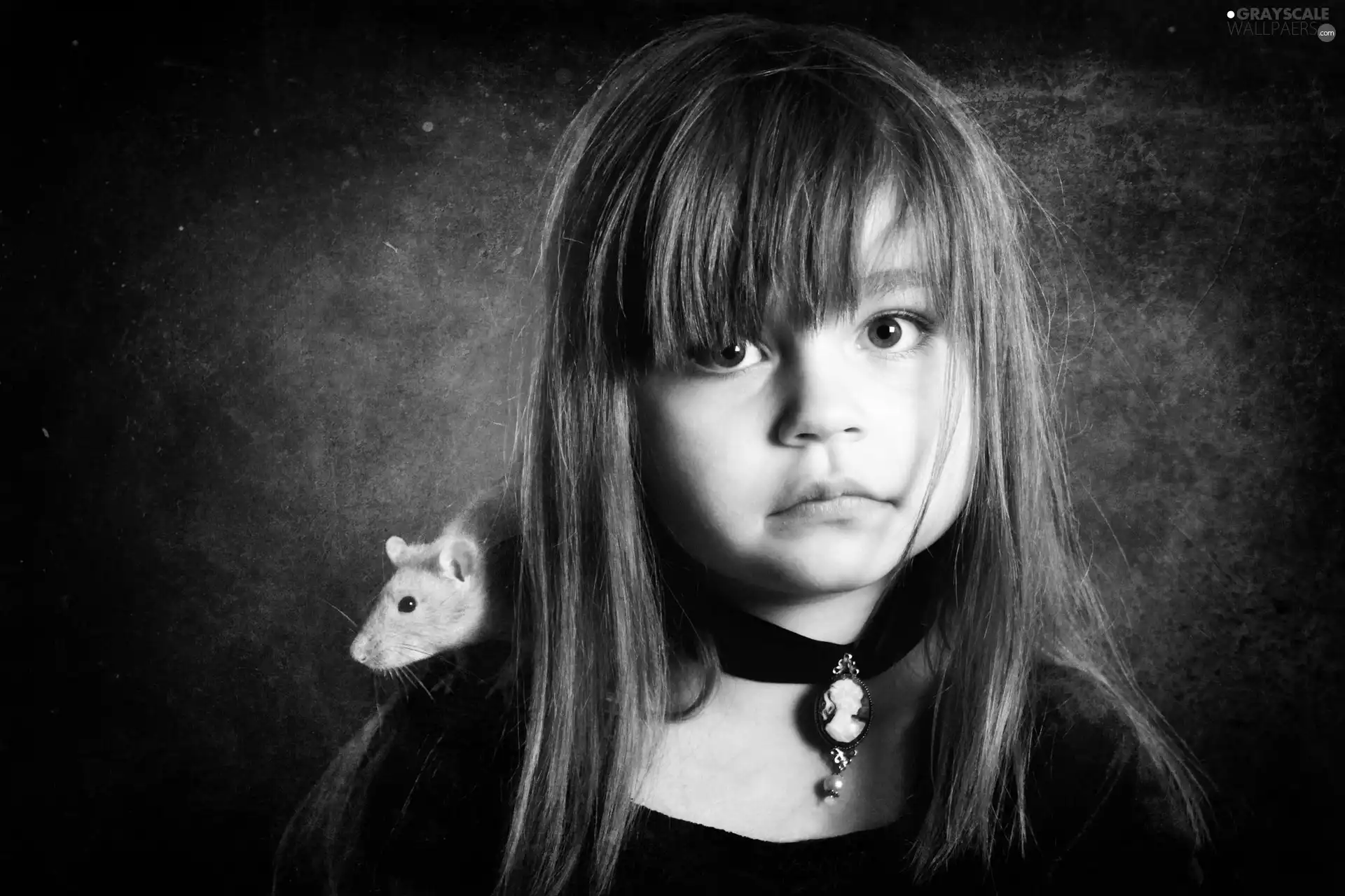 girl, rat