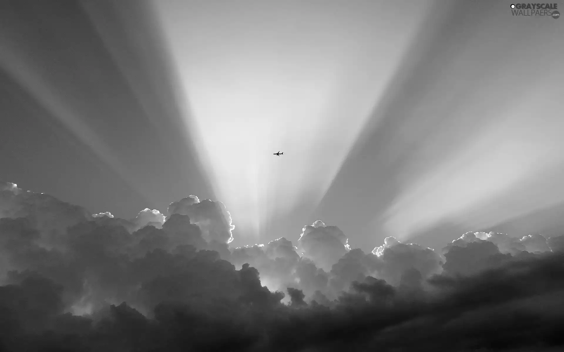 plane, clouds, rays of the Sun