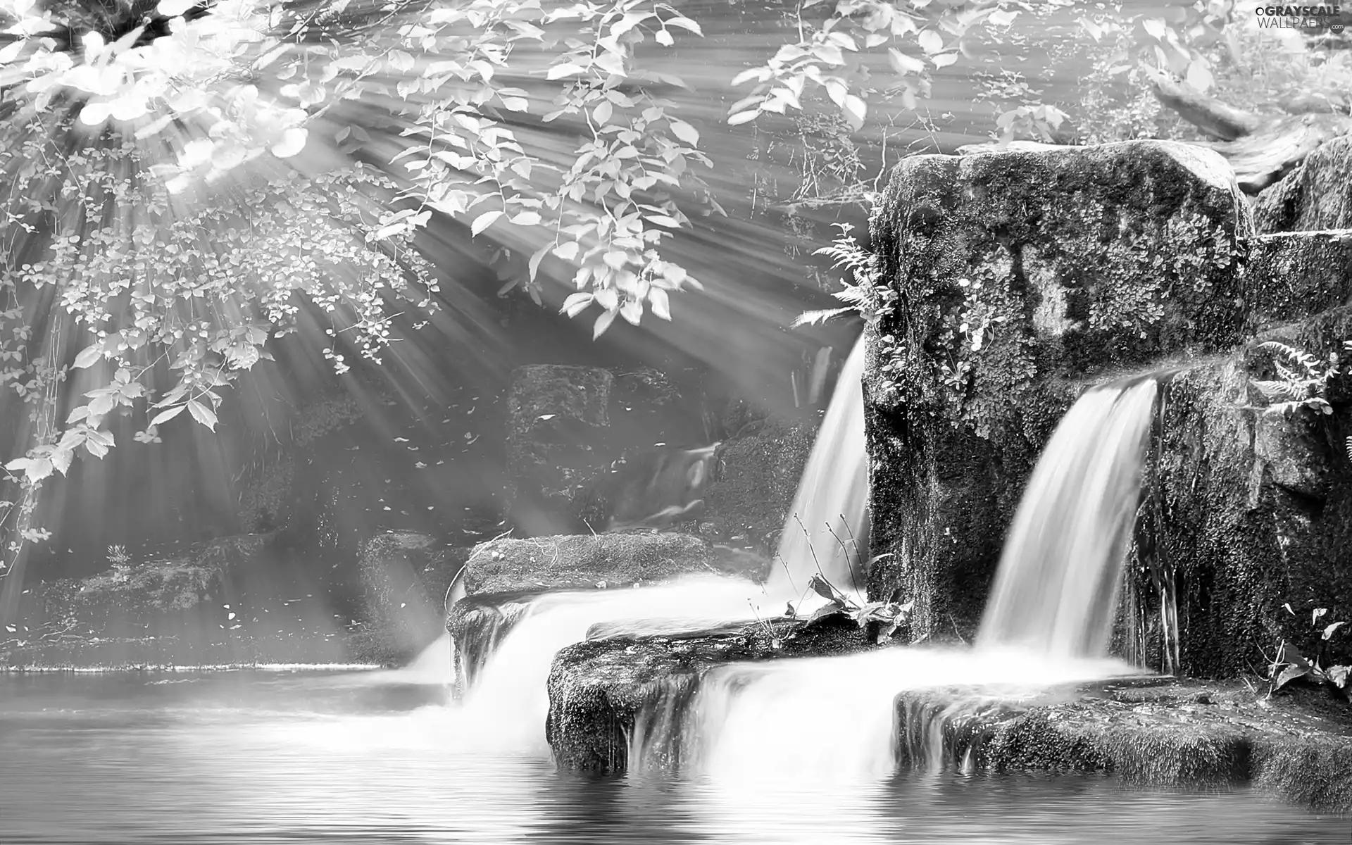 cascade, Leaf, rays, Stones rocks