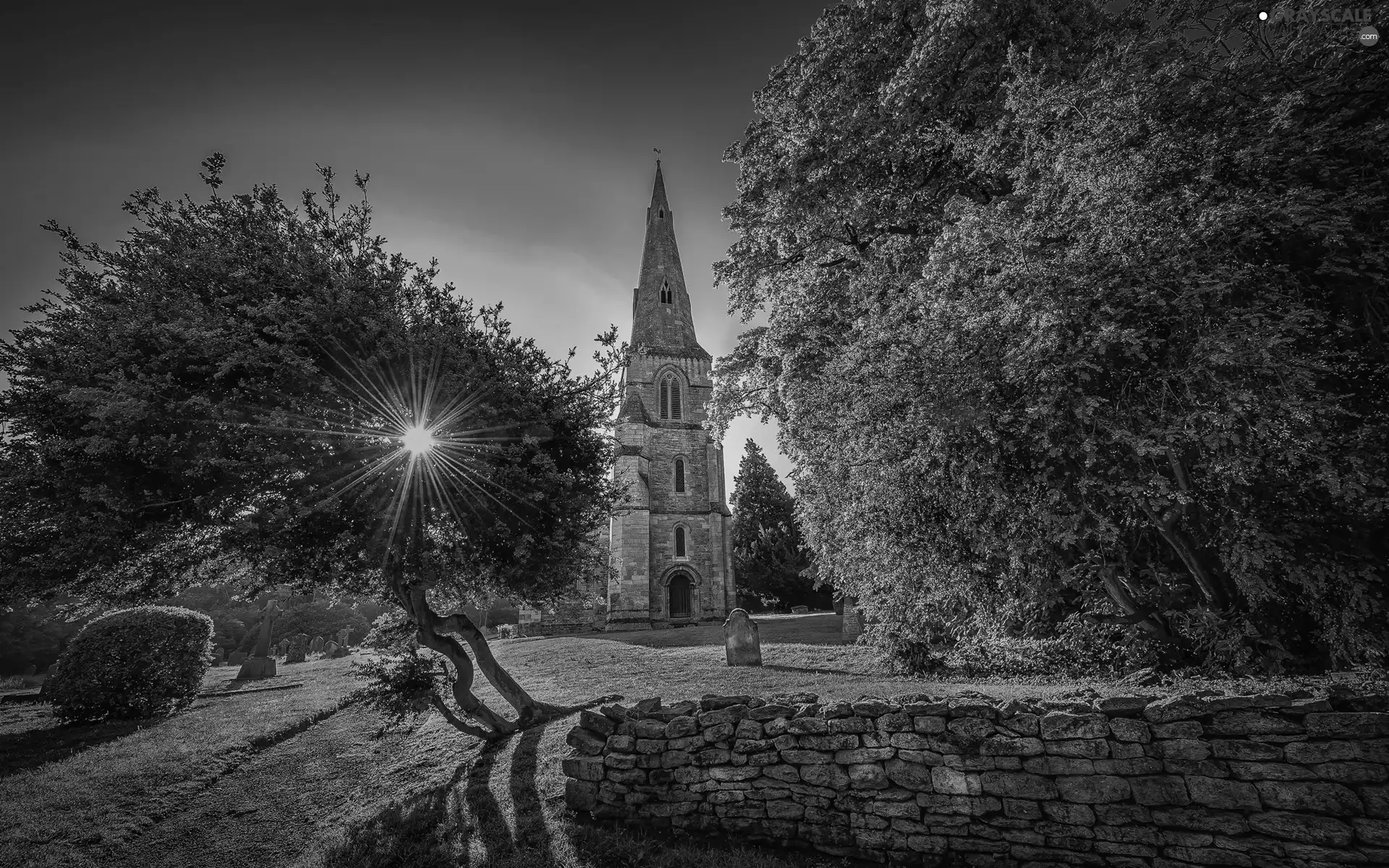 rays, sun, trees, viewes, Church