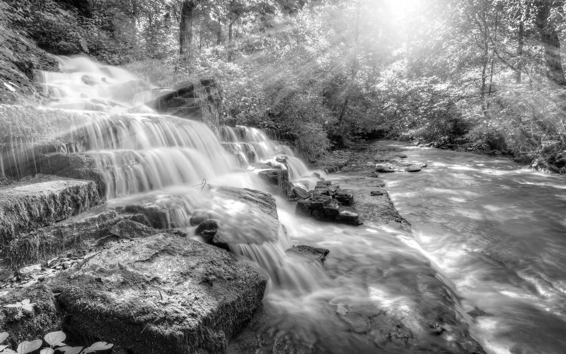 River, waterfall, rays, sun, forest, Stones