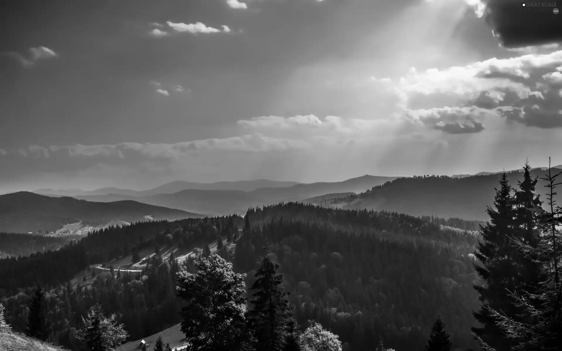 rays, sun, woods, Way, Mountains