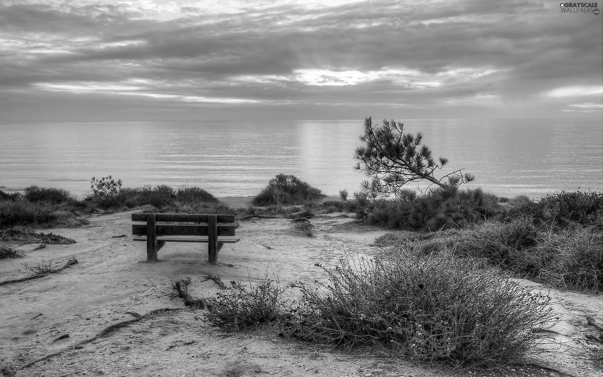 rays, sun, Beaches, Bench, sea
