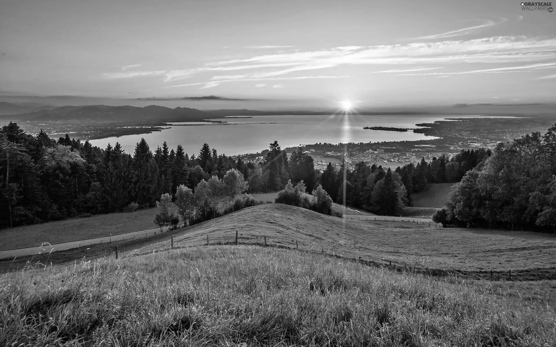 Way, forest, sun, Meadow, lake, rays, west