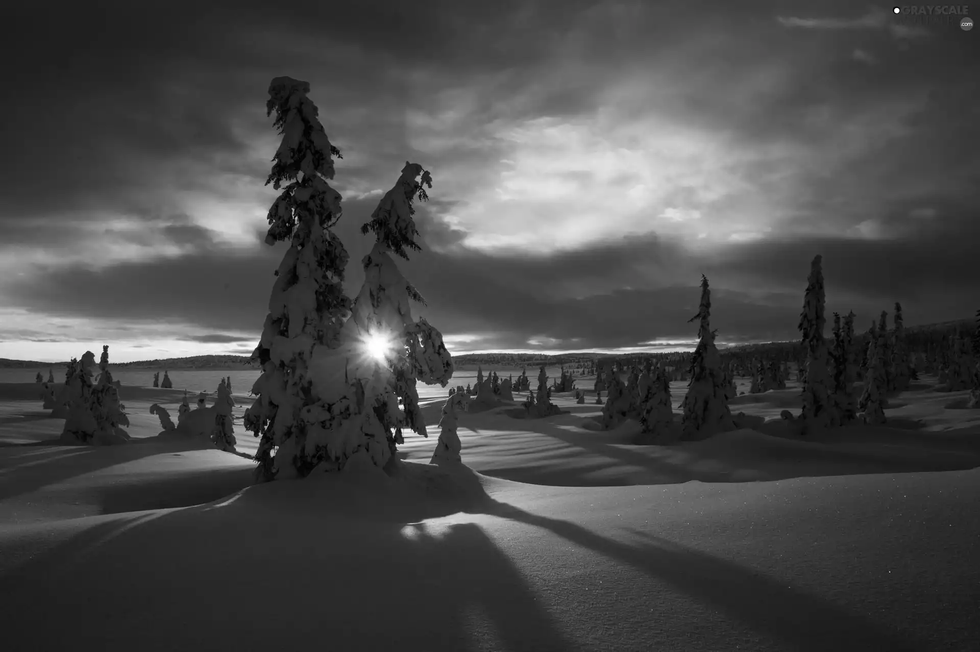 viewes, woods, sun, trees, Mountains, rays, winter