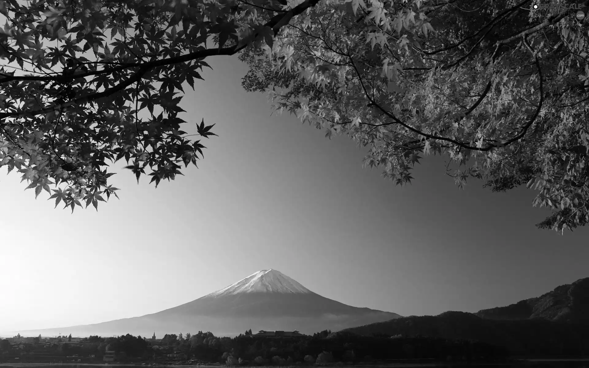 Mount, Japan, Red, Leaf, Fuji, mountains