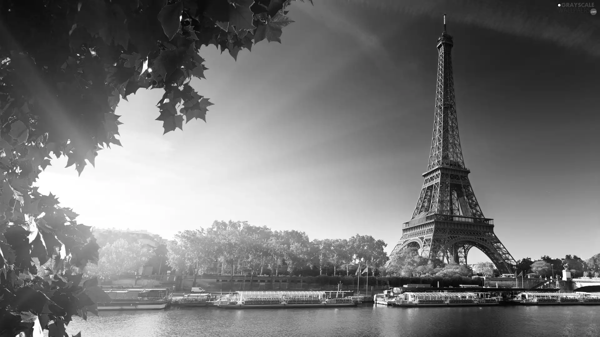 Red, Leaf, Eiffla, Paris, tower