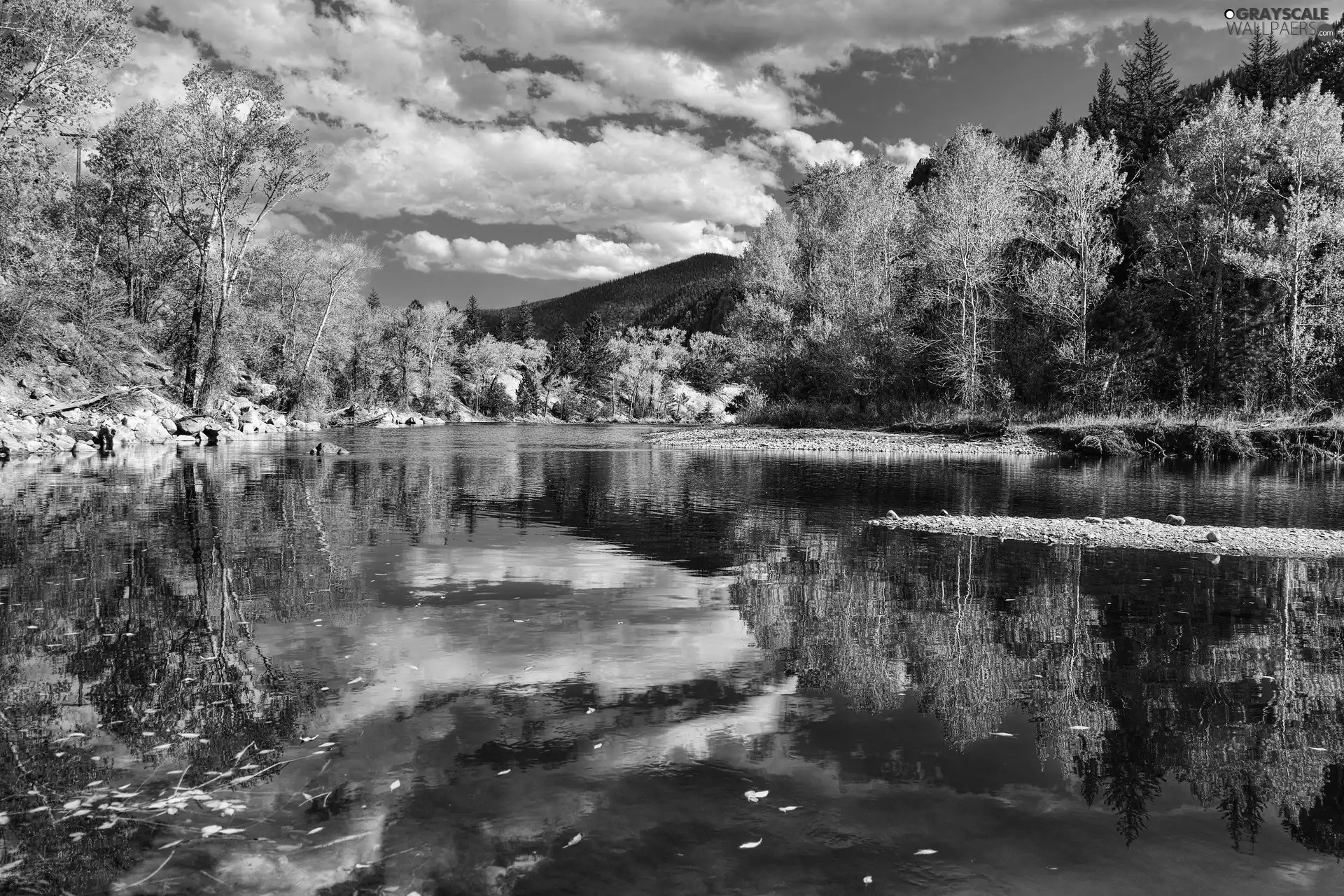 autumn, forest, reflection, River