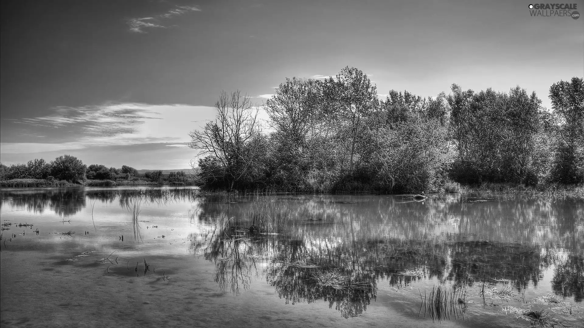 reflection, autumn, trees, viewes, lake